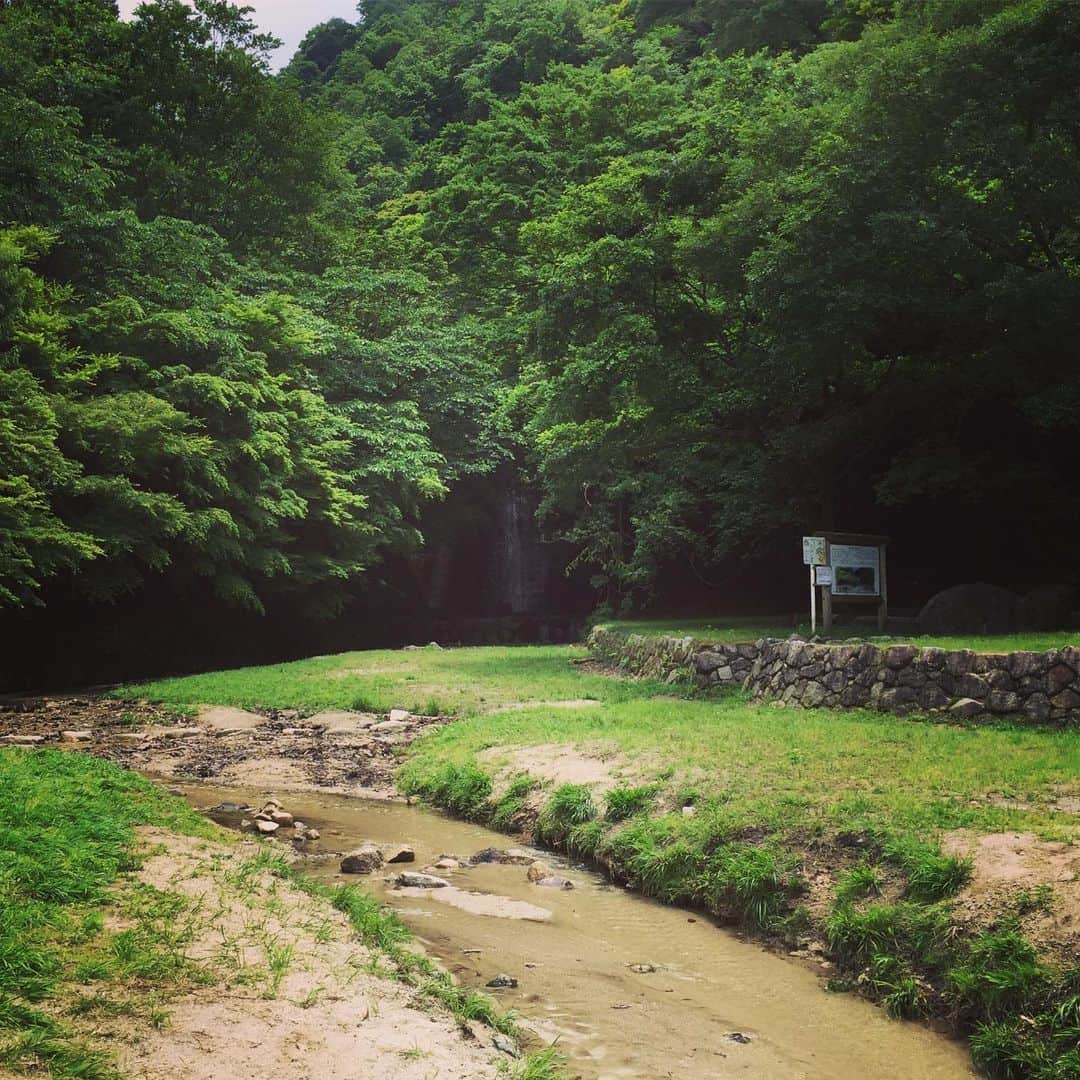 岸田繁さんのインスタグラム写真 - (岸田繁Instagram)「山密」5月22日 22時06分 - kishidashigeru