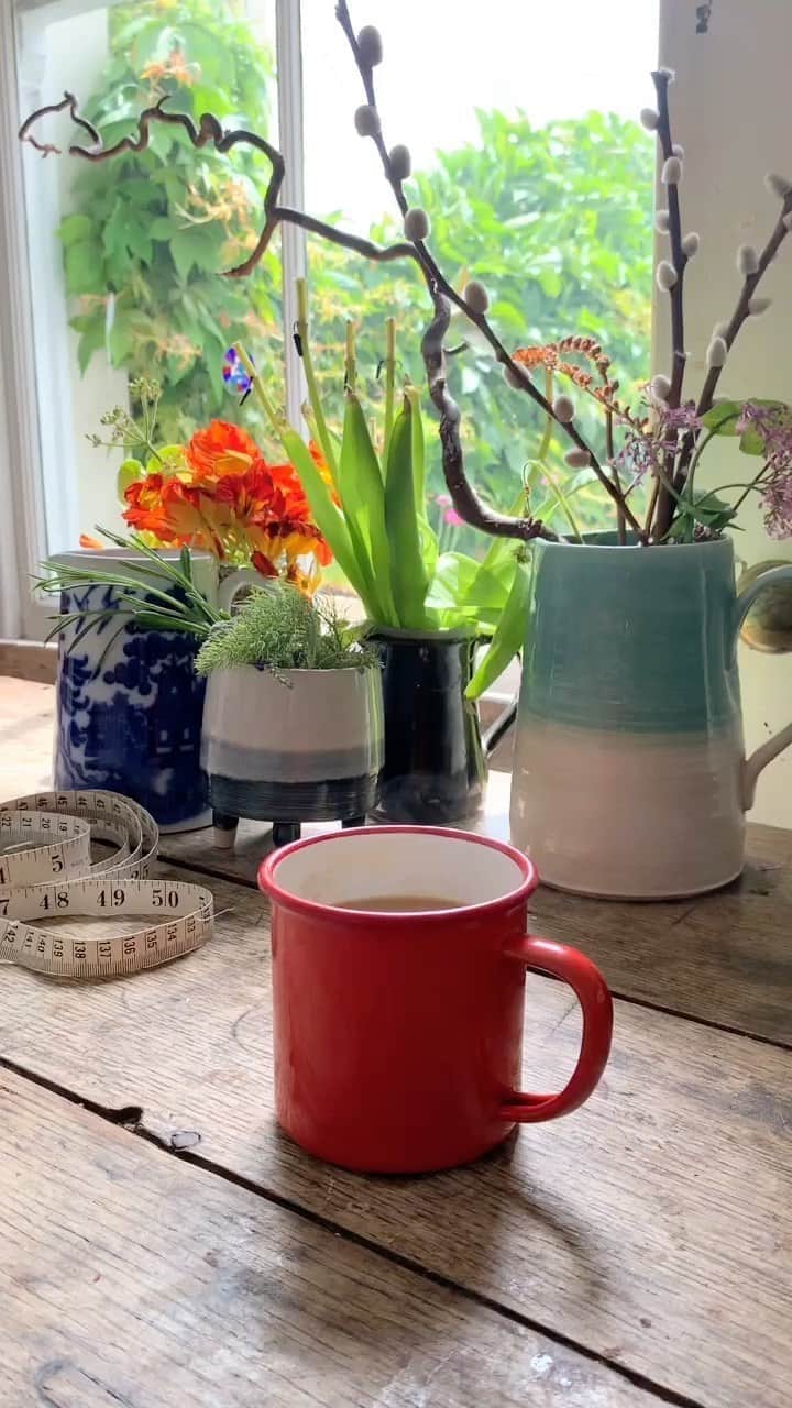 Tea and sittingのインスタグラム：「#domesticforaging for some everyday and overlooked sounds  #domesticshinrinyoku #shinrinyoku #shibui」