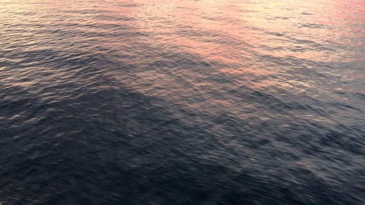 遠海まりこのインスタグラム