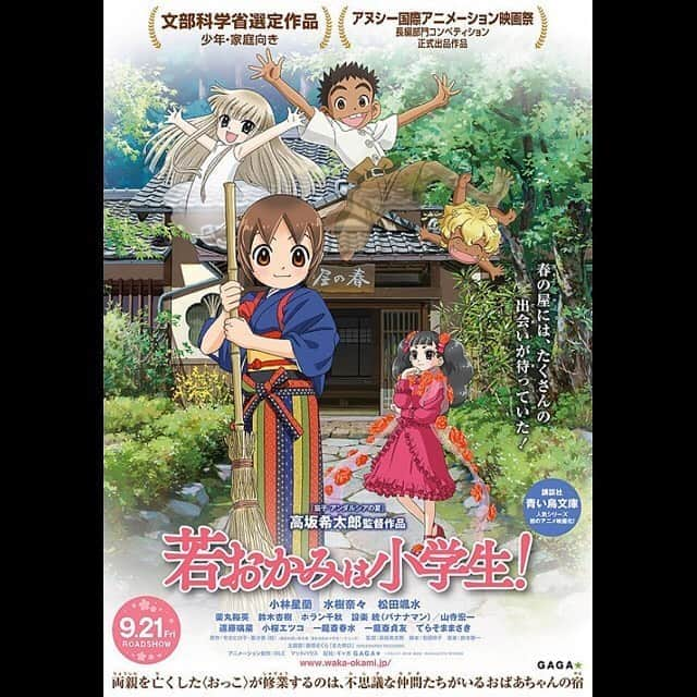 佐津川愛美のインスタグラム：「🎥🏠 #若おかみは小学生 . . こんばんは☺️ 用事があって普段行かない場所に行ったら、素敵なセレクトのマルシェが。見たことないぐらい新鮮で元気なお花と出会って感激😂！！いま花瓶全部埋まってるので1つ追加。コップより花瓶の方が多くなった😍 うち全然お花が枯れないの！！これ自慢❣️ グリーンたちもみんな元気です😋🌿 . . 公開時話題になっていたのに見逃していたこちら。 おっこちゃん大人だよ。でも子供だもんね。立派だよ。すごいよ。このまま終わるかと思ったら、泣いてました。みんなかわいいです。 完全に温泉に入りたくなります。あぁ、落ち着いたら春の屋のような温泉旅館に泊まりにいきたい。うり坊たち探したい。」