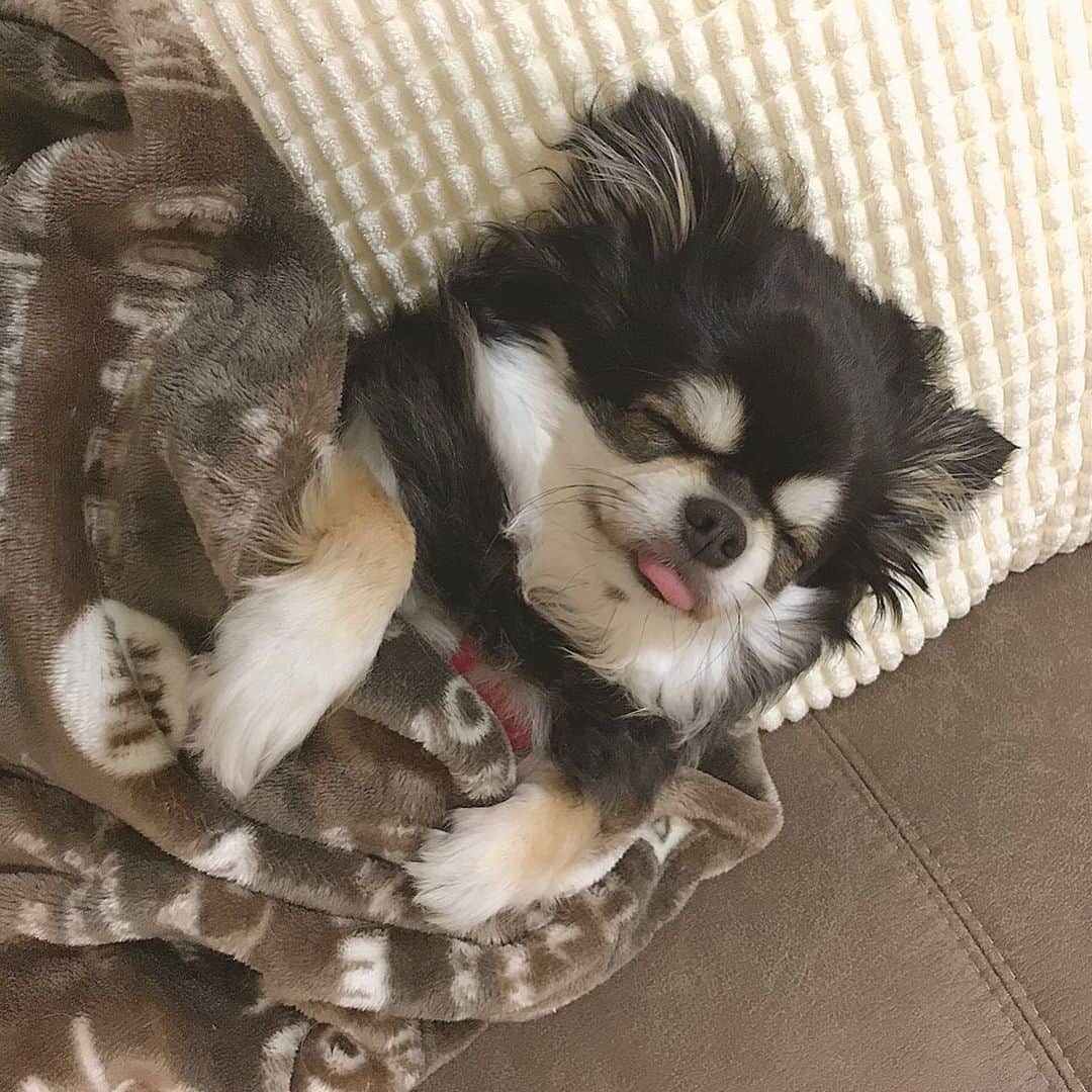 原あやののインスタグラム