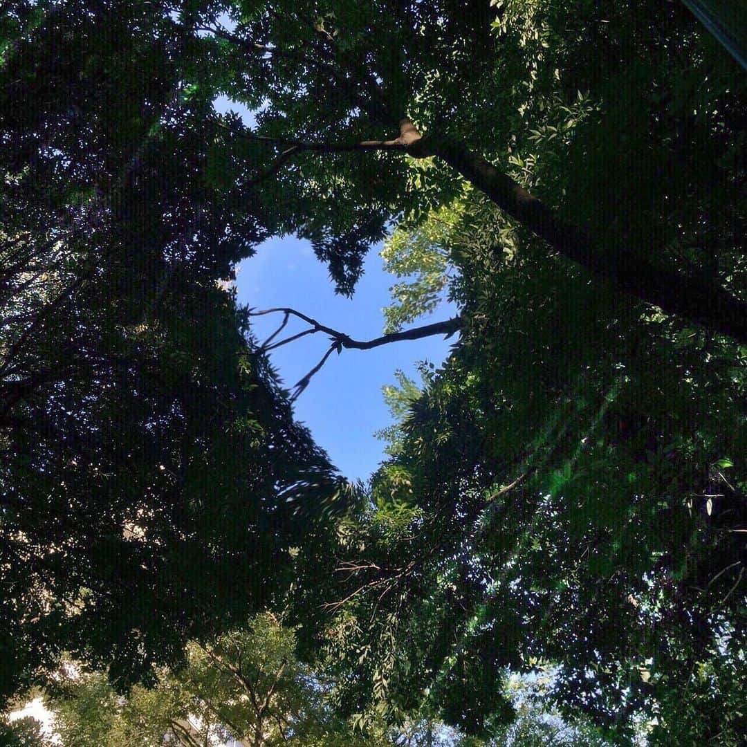 Sayakaのインスタグラム：「* いつかのお散歩中にふと空を見上げて 見つけた青空のハート♡  今週も皆さまが心穏やかに幸せに過ごせますように🕊💕」