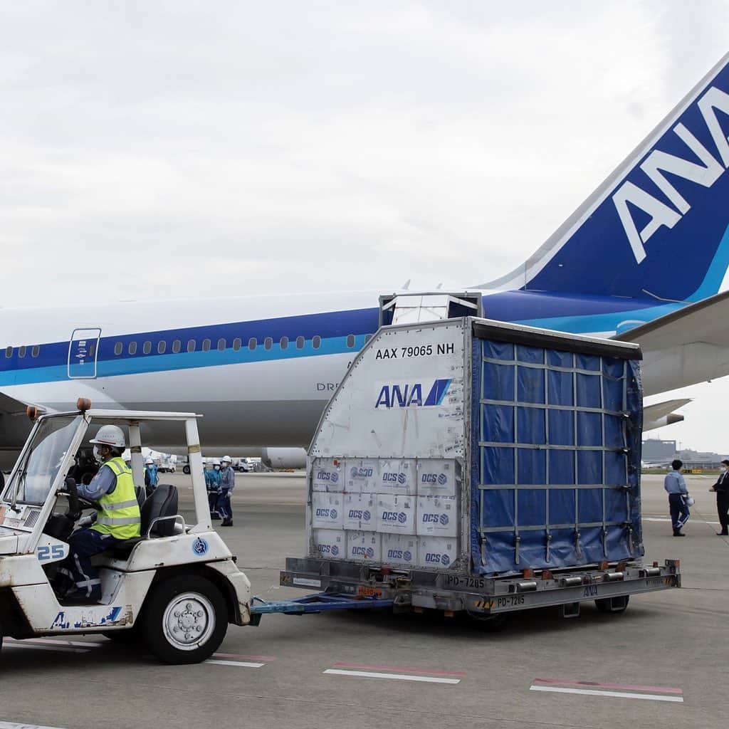 All Nippon Airwaysさんのインスタグラム写真 - (All Nippon AirwaysInstagram)「We’ve transformed our passenger aircraft into cargo carriers to help deliver much-needed medical supplies to affected areas. It’s how we’re following our commitment to always support our ANA community, whether aboard or on land. 💺📦」5月22日 23時29分 - allnipponairways