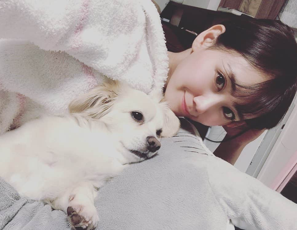 安藤まいさんのインスタグラム写真 - (安藤まいInstagram)「トークポートありがとうございました☺️❤️ おふもち🐶 金曜日の夜を割いてくれたみなさまに感謝😭😭😭 #トークポート#オンライン飲み#おうち時間#チワックスタグラム#チワックス#もち吉#ジェラピケ女子#ジェラピケ#オフショット#自撮り#自撮り女子#セルフィー#stayhome#stayathome#japanesegirl#rq#racequeen」5月23日 0時03分 - mai_ando0407