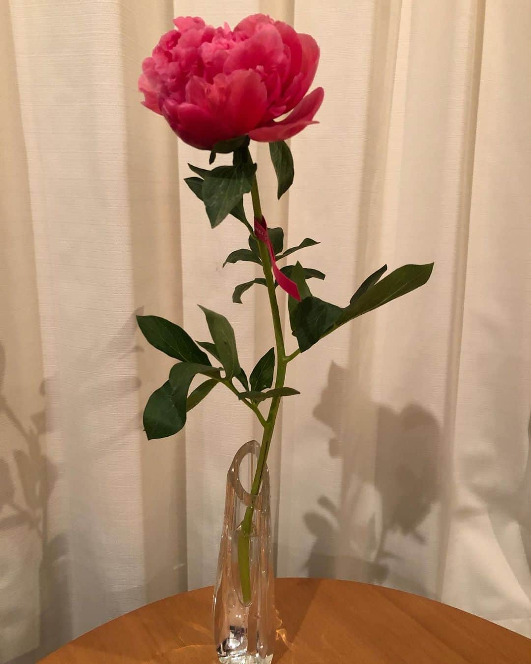美甘子さんのインスタグラム写真 - (美甘子Instagram)「花屋さんで見る度に飾りたいと思っていた芍薬。 #芍薬 #バカラ花瓶」5月23日 0時36分 - rekish_mikako