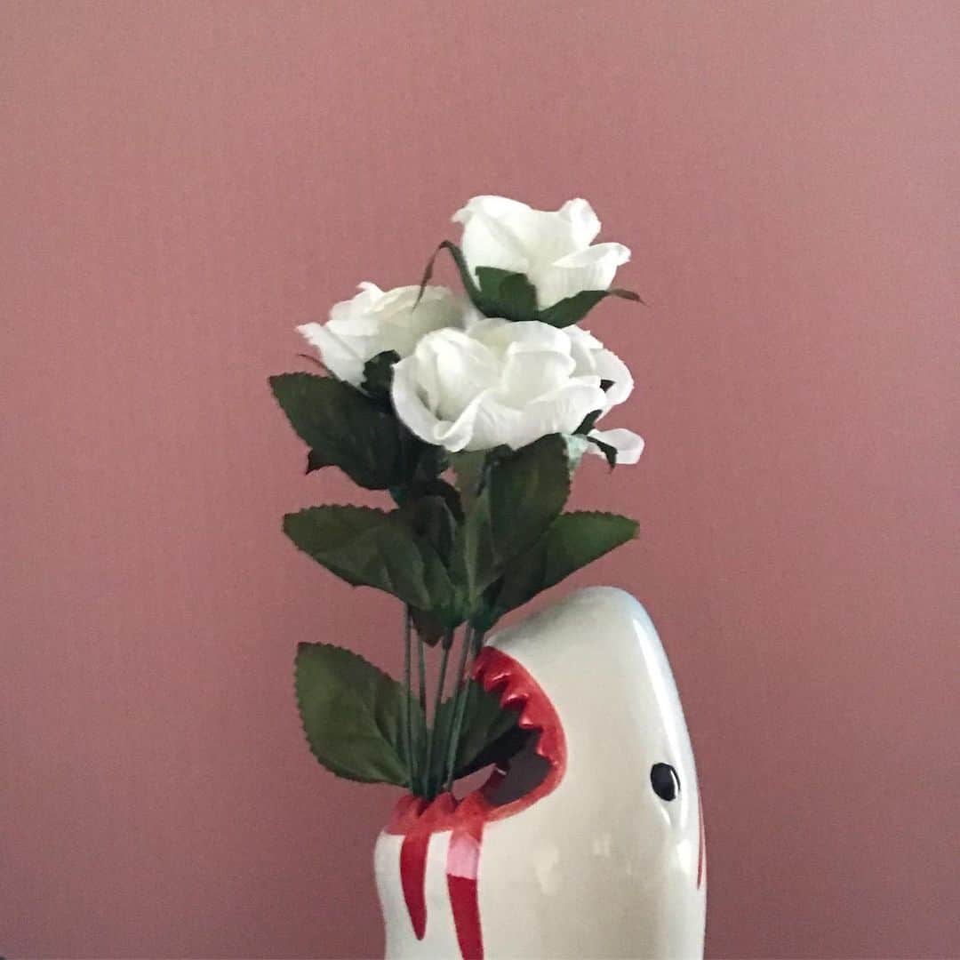 由薫（YU-KA）さんのインスタグラム写真 - (由薫（YU-KA）Instagram)「枯れない花」5月23日 1時00分 - yukayu_ka79