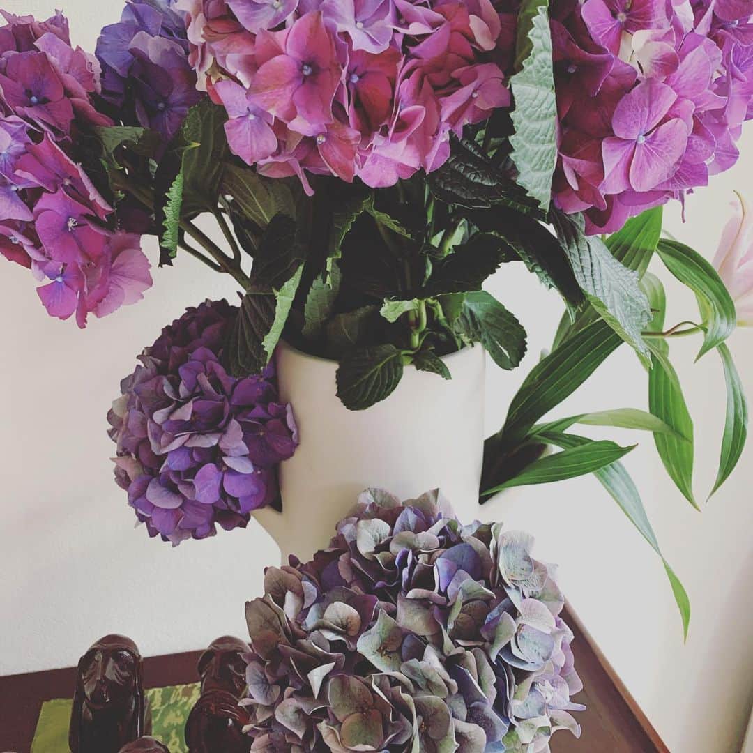田中ウルヴェ京さんのインスタグラム写真 - (田中ウルヴェ京Instagram)「朝起きたら家の一階が良い匂いだった。😊 夫があちこちに飾ってくれていたようだ。😁🙇‍♀️」5月23日 10時59分 - miyako.tanaka.oulevey