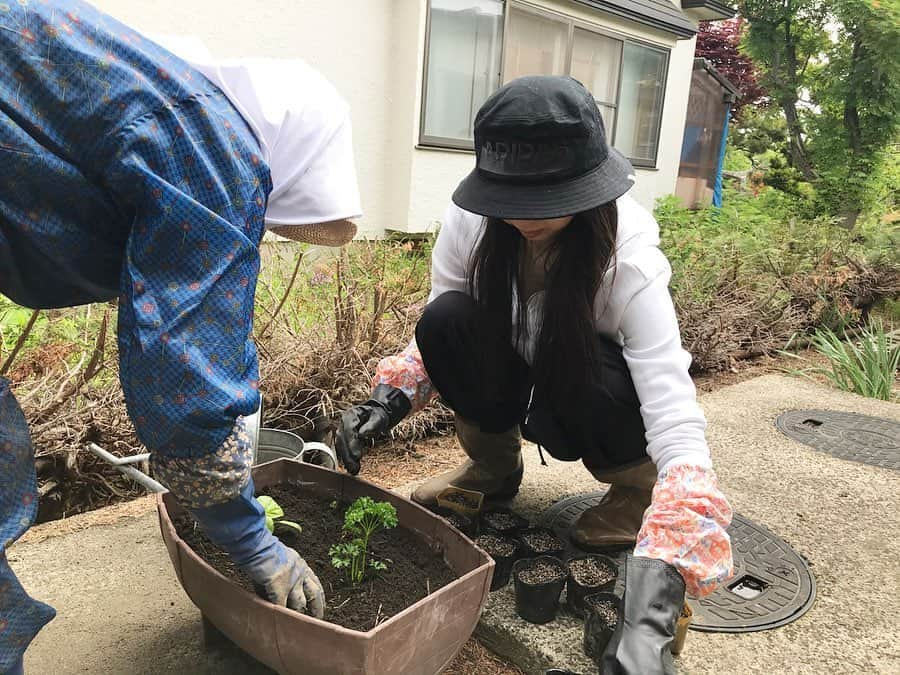 ときさんのインスタグラム写真 - (ときInstagram)「採れたてのアスパラを収穫したので、お昼はこれで料理をしようと思います❣️ #ときファーム 雨が止んでいる朝、また新しい苗を植えました🍀  ブロッコリーとスティックブロッコリー、キャベツ、ゴーヤ、ハーブ、パセリとバジルを植えました👏☺️ お父さんは草刈りを、お母さんとおばあちゃんが見守る中、近所のおばあちゃんにやり方を教えてもらいながらやりました😂  次はスイカを植えたいな〜🍉 ・ ・ ・ #農業女子 #農家 #苗植え #ブロッコリー #スティックブロッコリー #キャベツ #ゴーヤ #ハーブ #パセリ #バジル #自家栽培 #アスパラ栽培 #採れたて野菜 #farmertime #farmer #農ガール #農業活性化アイドル #農業日記」5月23日 11時32分 - toki_ringomusume