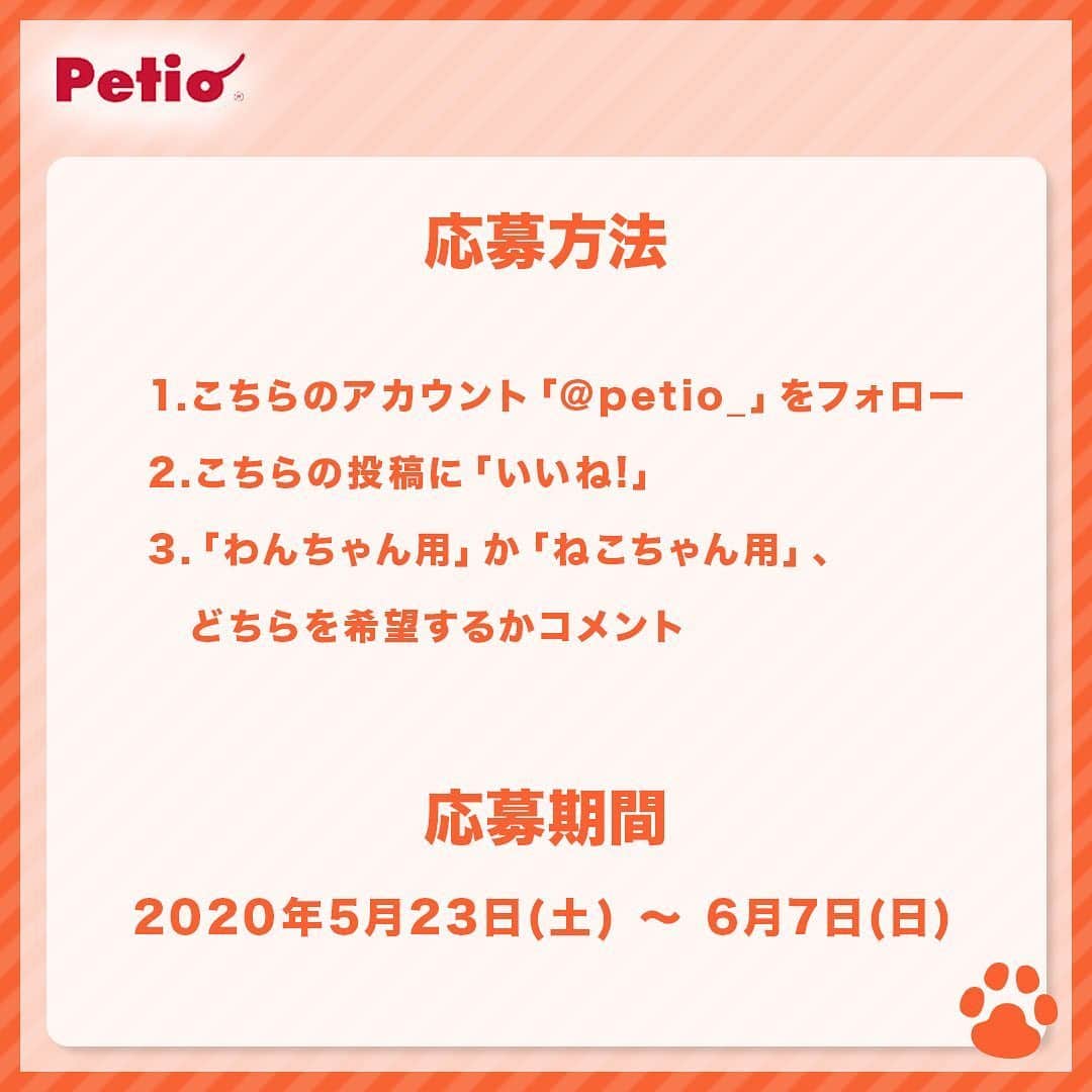 Petioさんのインスタグラム写真 - (PetioInstagram)「————— 豪華プレゼント企画【第4弾】🎁🐱🐶 —————————— •ㅤㅤㅤㅤㅤㅤㅤㅤㅤㅤㅤㅤㅤ #petio フォロワーのみんなに、日頃の感謝の気持ちを込めて #プレゼントキャンペーン を実施🎊✨ •ㅤㅤㅤㅤㅤㅤㅤㅤㅤㅤ 人気商品のおやつとフードボール＆フードクラッシャーを 「わんちゃん用」と「ねこちゃん用」に 詰め合わせた豪華賞品を各10名様にプレゼント！😻🐶✨ • いつものおやつにひと手間加えてごはんのトッピングにしたり、・ フードクラッシャーを使ってうちの子に食べやすい大きさにしたり🍚🍴 ・ いつものごはんのトッピングや手作りごはんにも便利👌 期間限定のスペシャル企画なので是非ご参加くださいっ💕 •ㅤㅤㅤㅤㅤㅤㅤㅤㅤㅤㅤㅤㅤ ーーーーーーーーーーーーーーーーーー 【プレゼント内容】 人気商品のおやつと「フードクラッシャー」セット🎁 コメント欄で『わんちゃん用』か『ねこちゃん用』の どちらか選んでコメントしてね🐶 (※賞品はすべて発送となります。) • 【応募方法】 1⃣このアカウント[ @petio_ ]をフォロー 2⃣この投稿に「いいね！」 3️⃣「わんちゃん用」・「ねこちゃん用」どちらか欲しい賞品をコメントしてね🐶🐱 •ㅤㅤㅤㅤㅤㅤㅤㅤㅤㅤㅤㅤㅤ すでにフォローしていただいている方は、 「いいね❤️」と「コメント✏️」をするだけで応募完了です！✨ •ㅤㅤㅤㅤㅤㅤㅤㅤㅤㅤㅤㅤㅤ 【応募期間】 2020年5月23日(土)～2020年6月7日(日)23:59まで • 【当選結果】 当選された方には本アカウントよりDMをお送りします📩 ※連絡日より1週間お返事がない場合は当選を無効とさせて頂くのでお気をつけください😢 •ㅤㅤㅤㅤㅤㅤㅤㅤㅤㅤㅤㅤㅤ 【プレゼントのお届け方法】 賞品はすべて発送となります🎁 • ーーーーーーーーーーーーーーーーーー •ㅤㅤㅤㅤㅤㅤㅤㅤㅤㅤㅤㅤㅤ うちの子とのごはんタイムやおやつタイムをいつもにちょっと変化をプラスして楽しもう🐾 たくさんのご応募お待ちしております🐶🐱 • • #ペティオ #ふわもこ部 #フワモコ部 #わんこ #にゃんこ #今日のわんこ #今日のにゃんこ #いぬ #ねこ #犬バカ #ねこのいる暮らし #愛犬 #愛猫 #猫バカ #いぬのいる暮らし #ねこすたぐらむ #いぬすたぐらむ #今だからこそモフモフで癒しを #わんこ用 #にゃんこ用 #みんねこ #プレゼント #プレゼント企画  #プレゼント企画実施中  #プレゼント応募  #プレゼント企画応募  #プレゼント企画開催中」5月23日 11時47分 - petio_