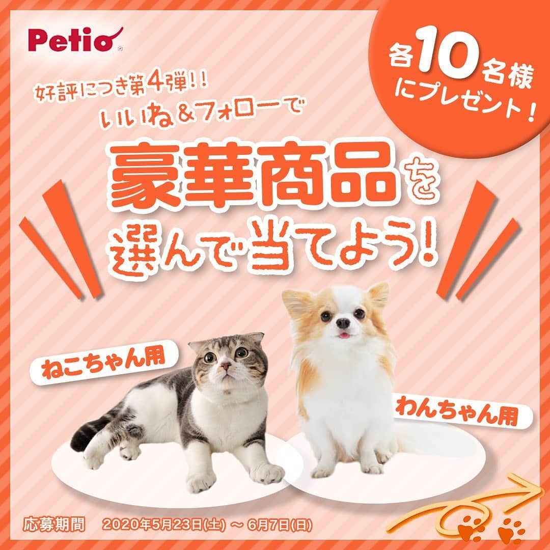 Petioさんのインスタグラム写真 - (PetioInstagram)「————— 豪華プレゼント企画【第4弾】🎁🐱🐶 —————————— •ㅤㅤㅤㅤㅤㅤㅤㅤㅤㅤㅤㅤㅤ #petio フォロワーのみんなに、日頃の感謝の気持ちを込めて #プレゼントキャンペーン を実施🎊✨ •ㅤㅤㅤㅤㅤㅤㅤㅤㅤㅤ 人気商品のおやつとフードボール＆フードクラッシャーを 「わんちゃん用」と「ねこちゃん用」に 詰め合わせた豪華賞品を各10名様にプレゼント！😻🐶✨ • いつものおやつにひと手間加えてごはんのトッピングにしたり、・ フードクラッシャーを使ってうちの子に食べやすい大きさにしたり🍚🍴 ・ いつものごはんのトッピングや手作りごはんにも便利👌 期間限定のスペシャル企画なので是非ご参加くださいっ💕 •ㅤㅤㅤㅤㅤㅤㅤㅤㅤㅤㅤㅤㅤ ーーーーーーーーーーーーーーーーーー 【プレゼント内容】 人気商品のおやつと「フードクラッシャー」セット🎁 コメント欄で『わんちゃん用』か『ねこちゃん用』の どちらか選んでコメントしてね🐶 (※賞品はすべて発送となります。) • 【応募方法】 1⃣このアカウント[ @petio_ ]をフォロー 2⃣この投稿に「いいね！」 3️⃣「わんちゃん用」・「ねこちゃん用」どちらか欲しい賞品をコメントしてね🐶🐱 •ㅤㅤㅤㅤㅤㅤㅤㅤㅤㅤㅤㅤㅤ すでにフォローしていただいている方は、 「いいね❤️」と「コメント✏️」をするだけで応募完了です！✨ •ㅤㅤㅤㅤㅤㅤㅤㅤㅤㅤㅤㅤㅤ 【応募期間】 2020年5月23日(土)～2020年6月7日(日)23:59まで • 【当選結果】 当選された方には本アカウントよりDMをお送りします📩 ※連絡日より1週間お返事がない場合は当選を無効とさせて頂くのでお気をつけください😢 •ㅤㅤㅤㅤㅤㅤㅤㅤㅤㅤㅤㅤㅤ 【プレゼントのお届け方法】 賞品はすべて発送となります🎁 • ーーーーーーーーーーーーーーーーーー •ㅤㅤㅤㅤㅤㅤㅤㅤㅤㅤㅤㅤㅤ うちの子とのごはんタイムやおやつタイムをいつもにちょっと変化をプラスして楽しもう🐾 たくさんのご応募お待ちしております🐶🐱 • • #ペティオ #ふわもこ部 #フワモコ部 #わんこ #にゃんこ #今日のわんこ #今日のにゃんこ #いぬ #ねこ #犬バカ #ねこのいる暮らし #愛犬 #愛猫 #猫バカ #いぬのいる暮らし #ねこすたぐらむ #いぬすたぐらむ #今だからこそモフモフで癒しを #わんこ用 #にゃんこ用 #みんねこ #プレゼント #プレゼント企画  #プレゼント企画実施中  #プレゼント応募  #プレゼント企画応募  #プレゼント企画開催中」5月23日 11時47分 - petio_