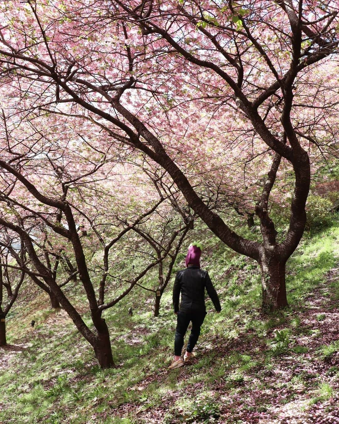 川原克己 のインスタグラム