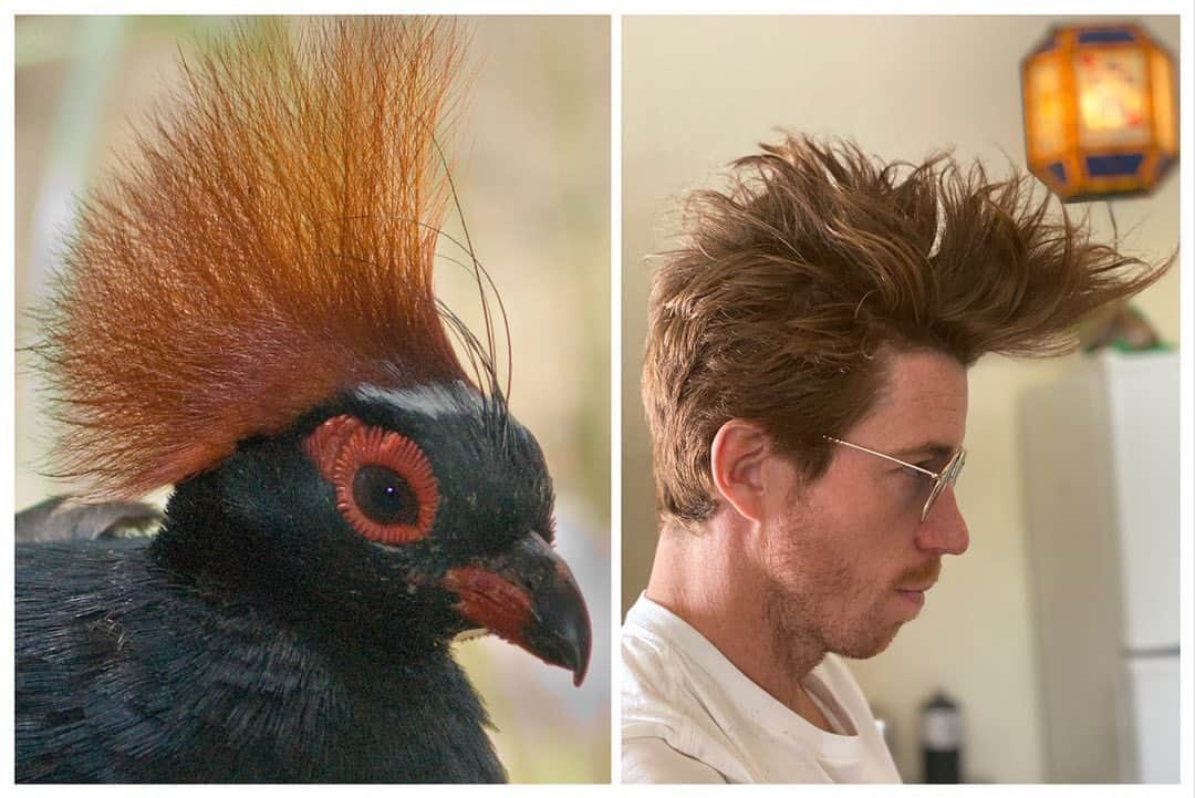 ショーン・ホワイトさんのインスタグラム写真 - (ショーン・ホワイトInstagram)「I see absolutely no resemblance ... 😆」5月23日 4時32分 - shaunwhite