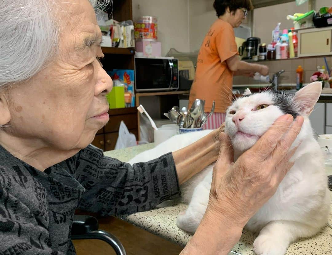 Kachimo Yoshimatsuさんのインスタグラム写真 - (Kachimo YoshimatsuInstagram)「今朝、バーバに目糞を取ってもらった。そのあと病院に行ってちょっとカイイ所を見てもらって、体重測ったら6.7kgだった。この家にお世話になって1.2kgこえた。食べすぎだな。 #うちの猫ら #nanakuro #バーバ #バーバと猫 #猫 #ねこ #cat #ネコ #catstagram #ネコ部 http://kachimo.exblog.jp」5月23日 12時37分 - kachimo