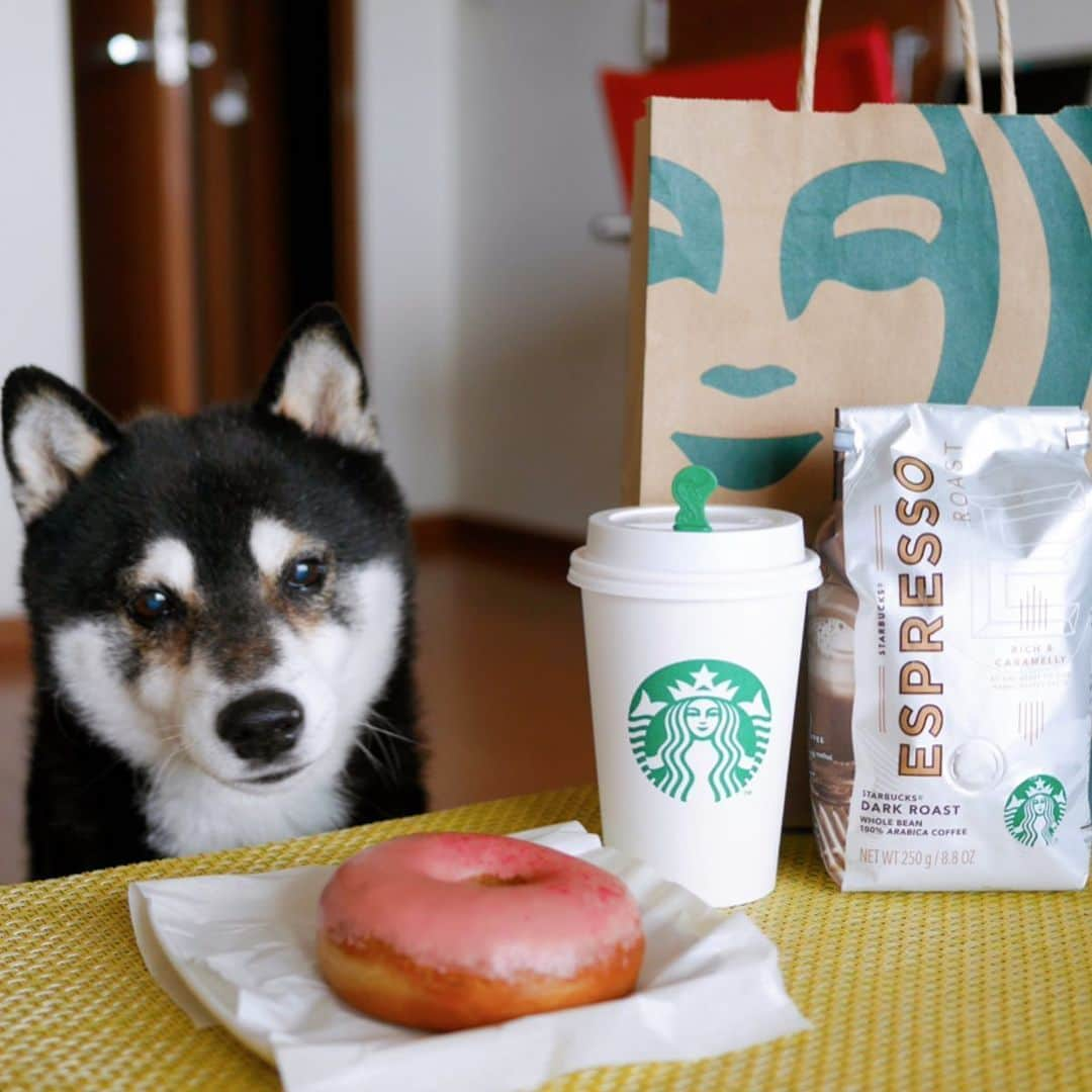 くろさんのインスタグラム写真 - (くろInstagram)「ひさびさのTO GOスタバ☕️ 緊急事態宣言以来の店舗スタバです。 でもって珈琲豆も調達っと。 と、普通なら大喜びとなるはずだったのですが… ☞to be continued #豆も気になるぅ #ひさびさのスタバ #ダブルトールラテ #いちごソースドーナツ #エスプレッソロースト #doubletalllatte #strawberrysourcedonut #espressoroast #starbucks #starbuckscoffee #スタバ #スターバックス #スターバックスコーヒー #スターバックスコーヒー用賀店」5月23日 8時17分 - m6bmw