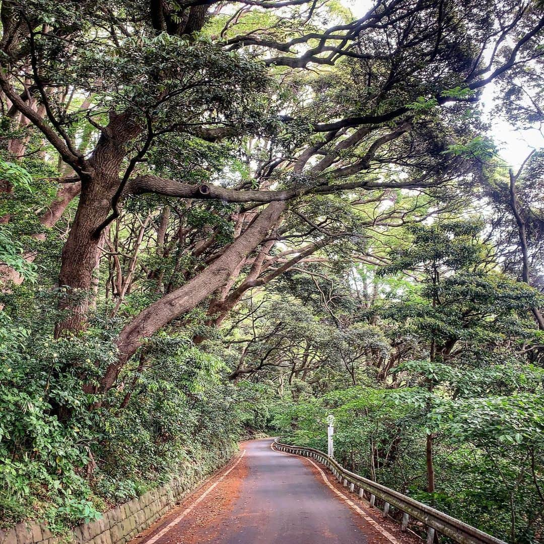 池内万作さんのインスタグラム写真 - (池内万作Instagram)「朝の半島ラン。 久しぶりなので走ったり歩いたり。 やはり気持ちいいっすな。 さてさて、今日はなにをしようかしらね。 #ランでした #stopデ部 #真鶴半島」5月23日 8時30分 - mandeshita