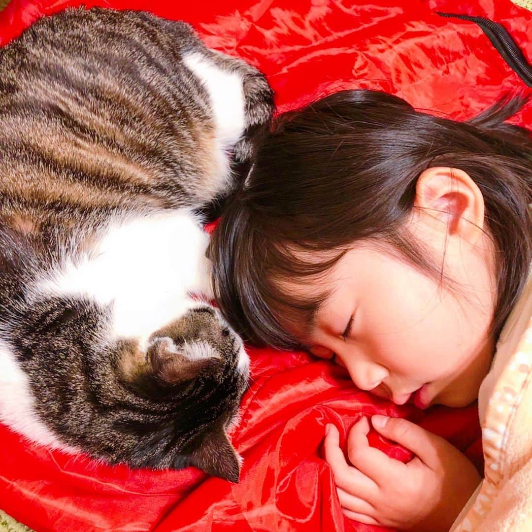 れのれらTVのインスタグラム