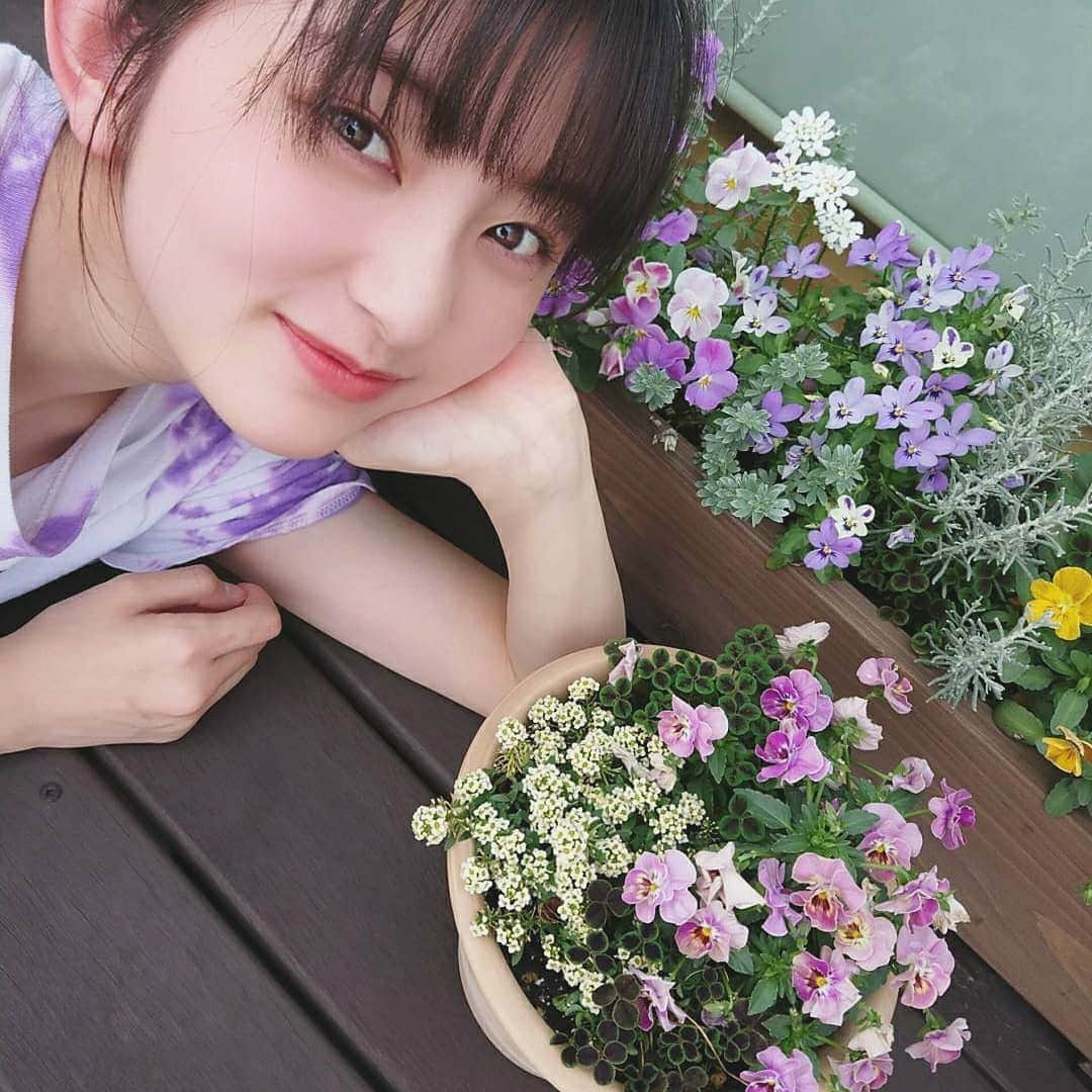 瀬田さくらさんのインスタグラム写真 - (瀬田さくらInstagram)「私のビオラちゃんたちが1番可愛い...💖 #ビオラ #アリッサム #瀬田さくら #ちゃん瀬田 #ばってん少女隊 #ばっしょー」5月23日 21時49分 - seta_sakura_official