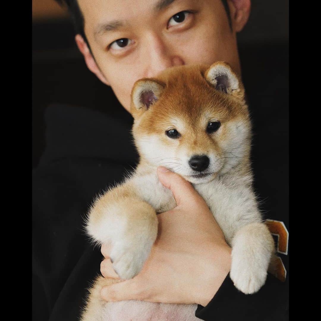 thequiettのインスタグラム：「4달 전 .. 🐶」
