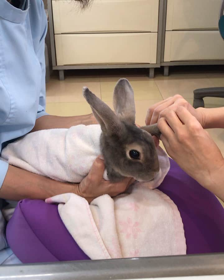 Kayoのインスタグラム：「ある日の爪切り✂️ ・ ・ 頑張った時はかっこいいを連発♡ ちょっと得意げな顔に見えてしまう親バカ♡」