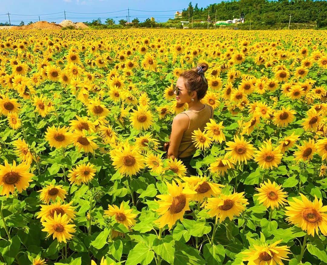 ちゃんもりのインスタグラム