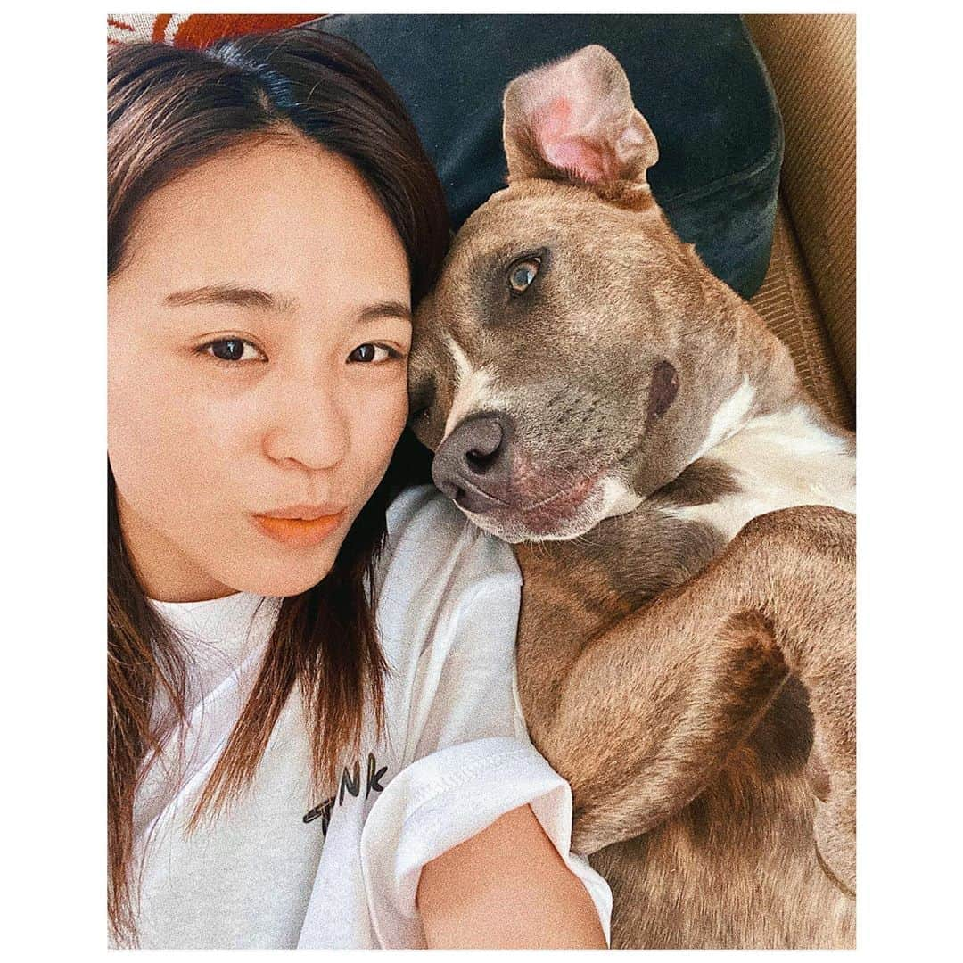 岡部紗季子さんのインスタグラム写真 - (岡部紗季子Instagram)「“ #family #pitbull #love #stayhome #ピットブル #🐶 . . . 9 months baby dog nap time...🐶💤」5月23日 20時30分 - sakiko_okabe516