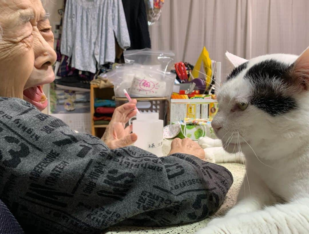 Kachimo Yoshimatsuさんのインスタグラム写真 - (Kachimo YoshimatsuInstagram)「バーバとナナクロ Mother & Nanakuro #うちの猫ら #nanakuro #バーバ #バーバと猫 #猫 #ねこ #cat #ネコ #catstagram #ネコ部 http://kachimo.exblog.jp」5月23日 20時48分 - kachimo