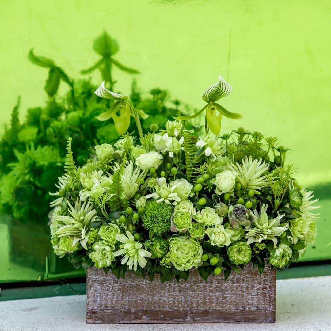 ニコライ・バーグマン・フラワーズ＆デザインさんのインスタグラム写真 - (ニコライ・バーグマン・フラワーズ＆デザインInstagram)「💚 #greenarrangement #nicolaibergmann #flowerartist #green」5月23日 21時04分 - nicolaibergmann