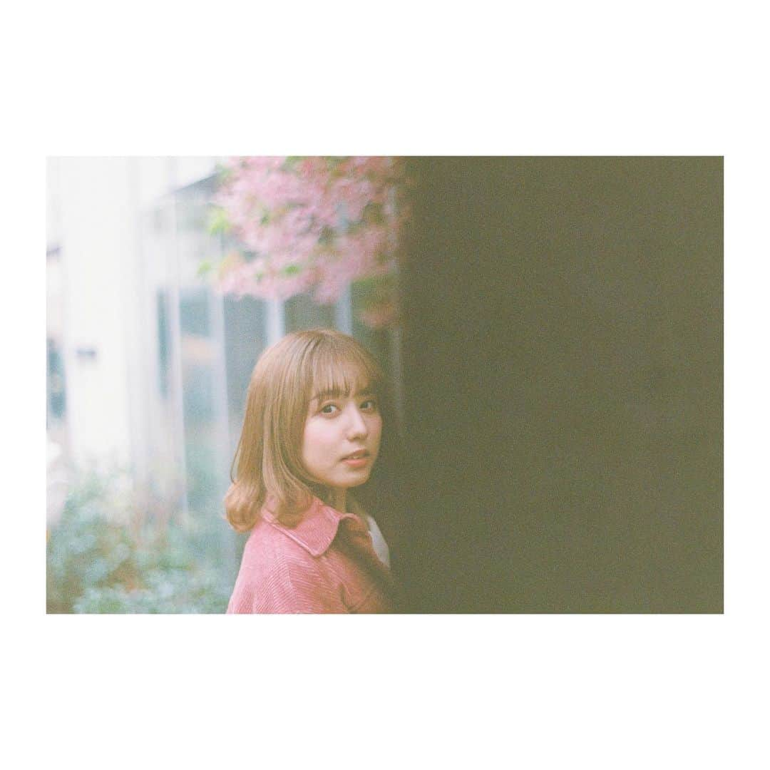 前田美里さんのインスタグラム写真 - (前田美里Instagram)「光と影。 .  #🎞 #film #film_jp #ファインダー越しの私の世界 #写真好きな人と繋がりたい #代官山 #カメラ女子 #日々の写真 #redyazel #daikanyama #photo #picture #asahipentaxsp #photooftheday #follow #followme」5月23日 21時18分 - maeda_misato