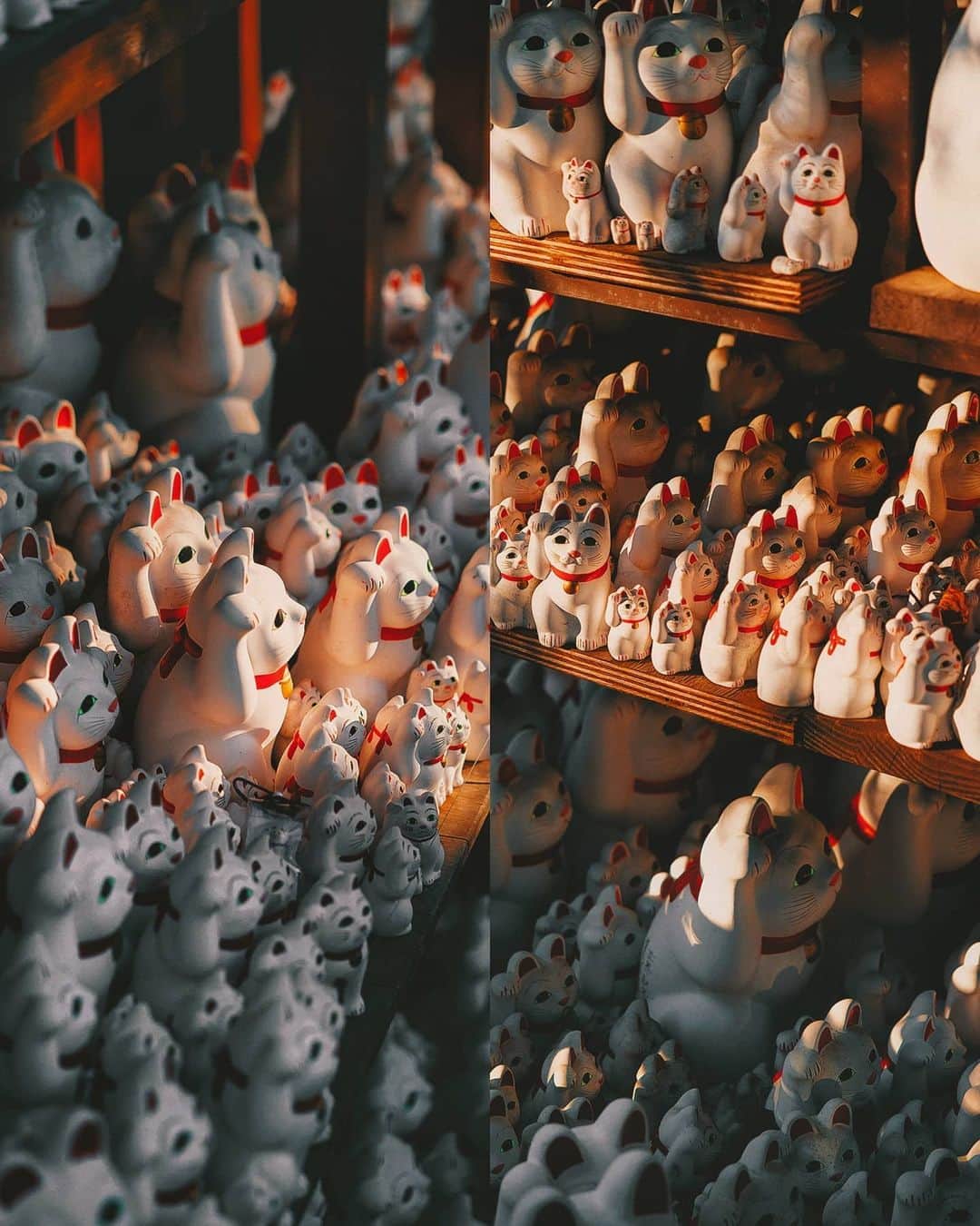 Berlin Tokyoさんのインスタグラム写真 - (Berlin TokyoInstagram)「Thousands of Maneki-neko (beckoning cat) figurines taking on the glow of the evening sun in Tokyo’s most peculiar temple. . The Maneki Neko of Gyotoku-ji is formally called the "Blessed Cat" and is dedicated as a reward for fulfilling a wish.  More than 1,000 beckoning cats are enshrined here. . . . These photos were taken with an EOS-R and RF 24-70mm f2.8 lens borrowed from @eos_canonjp . I'm still not a big fan of mirrorless cameras, but the lens is very sharp and bokeh is beautiful. . . #hellofrom Gyotoku-ji #tokyo , #japan」5月23日 21時19分 - tokio_kid
