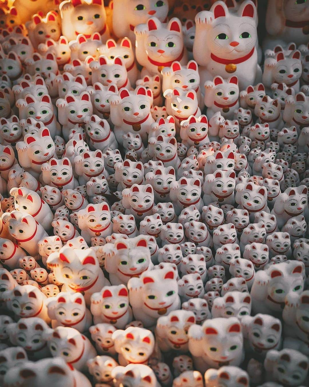 Berlin Tokyoさんのインスタグラム写真 - (Berlin TokyoInstagram)「Thousands of Maneki-neko (beckoning cat) figurines taking on the glow of the evening sun in Tokyo’s most peculiar temple. . The Maneki Neko of Gyotoku-ji is formally called the "Blessed Cat" and is dedicated as a reward for fulfilling a wish.  More than 1,000 beckoning cats are enshrined here. . . . These photos were taken with an EOS-R and RF 24-70mm f2.8 lens borrowed from @eos_canonjp . I'm still not a big fan of mirrorless cameras, but the lens is very sharp and bokeh is beautiful. . . #hellofrom Gyotoku-ji #tokyo , #japan」5月23日 21時19分 - tokio_kid