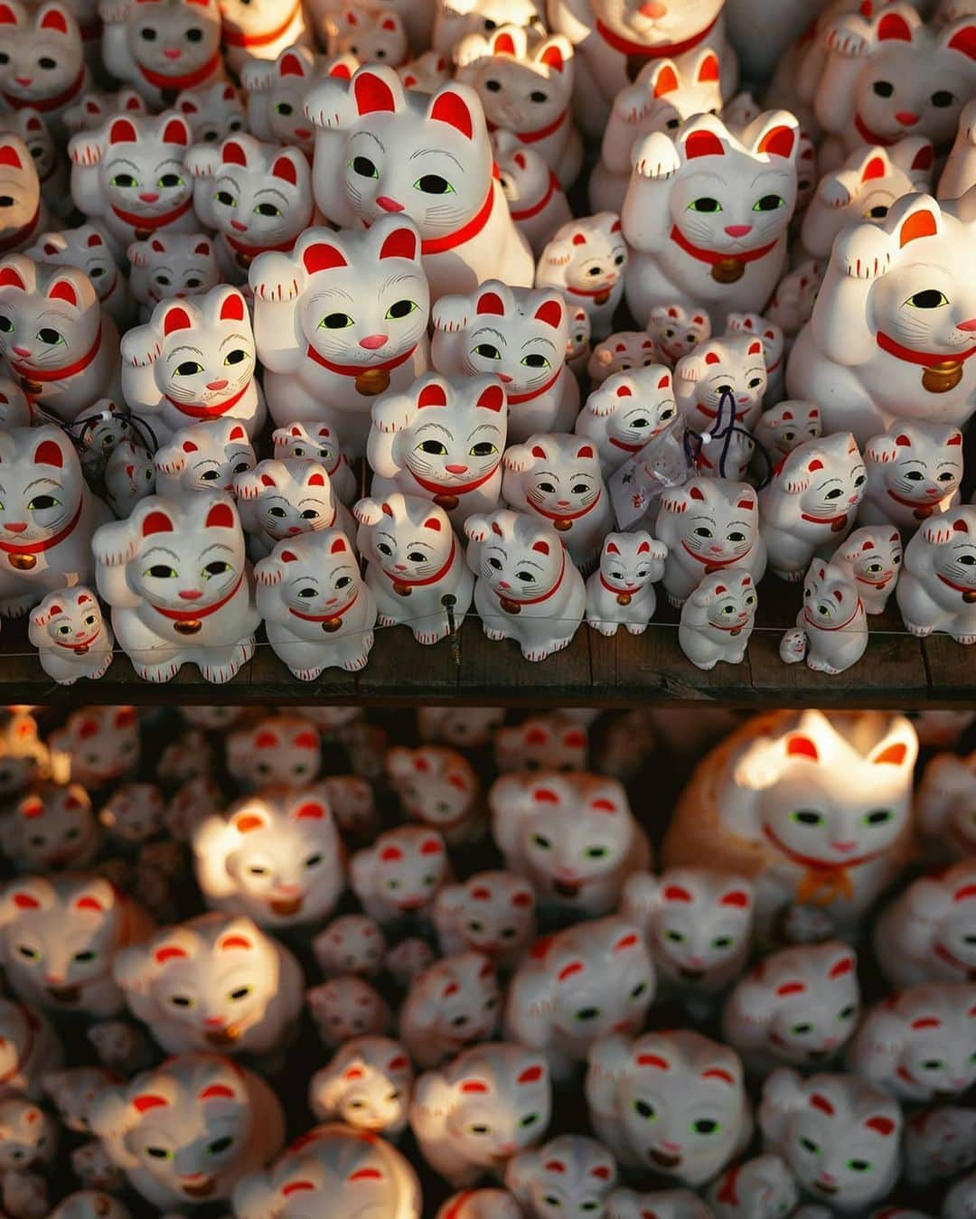 Berlin Tokyoさんのインスタグラム写真 - (Berlin TokyoInstagram)「Thousands of Maneki-neko (beckoning cat) figurines taking on the glow of the evening sun in Tokyo’s most peculiar temple. . The Maneki Neko of Gyotoku-ji is formally called the "Blessed Cat" and is dedicated as a reward for fulfilling a wish.  More than 1,000 beckoning cats are enshrined here. . . . These photos were taken with an EOS-R and RF 24-70mm f2.8 lens borrowed from @eos_canonjp . I'm still not a big fan of mirrorless cameras, but the lens is very sharp and bokeh is beautiful. . . #hellofrom Gyotoku-ji #tokyo , #japan」5月23日 21時19分 - tokio_kid