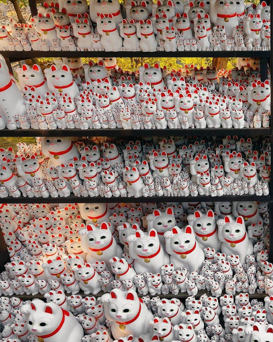 Berlin Tokyoさんのインスタグラム写真 - (Berlin TokyoInstagram)「Thousands of Maneki-neko (beckoning cat) figurines taking on the glow of the evening sun in Tokyo’s most peculiar temple. . The Maneki Neko of Gyotoku-ji is formally called the "Blessed Cat" and is dedicated as a reward for fulfilling a wish.  More than 1,000 beckoning cats are enshrined here. . . . These photos were taken with an EOS-R and RF 24-70mm f2.8 lens borrowed from @eos_canonjp . I'm still not a big fan of mirrorless cameras, but the lens is very sharp and bokeh is beautiful. . . #hellofrom Gyotoku-ji #tokyo , #japan」5月23日 21時19分 - tokio_kid