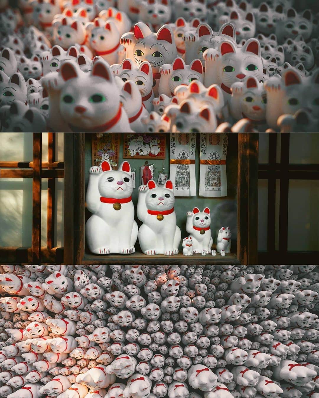 Berlin Tokyoさんのインスタグラム写真 - (Berlin TokyoInstagram)「Thousands of Maneki-neko (beckoning cat) figurines taking on the glow of the evening sun in Tokyo’s most peculiar temple. . The Maneki Neko of Gyotoku-ji is formally called the "Blessed Cat" and is dedicated as a reward for fulfilling a wish.  More than 1,000 beckoning cats are enshrined here. . . . These photos were taken with an EOS-R and RF 24-70mm f2.8 lens borrowed from @eos_canonjp . I'm still not a big fan of mirrorless cameras, but the lens is very sharp and bokeh is beautiful. . . #hellofrom Gyotoku-ji #tokyo , #japan」5月23日 21時19分 - tokio_kid