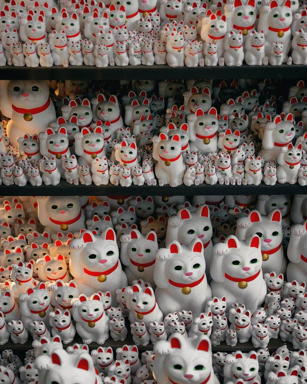 Berlin Tokyoさんのインスタグラム写真 - (Berlin TokyoInstagram)「Thousands of Maneki-neko (beckoning cat) figurines taking on the glow of the evening sun in Tokyo’s most peculiar temple. . The Maneki Neko of Gyotoku-ji is formally called the "Blessed Cat" and is dedicated as a reward for fulfilling a wish.  More than 1,000 beckoning cats are enshrined here. . . . These photos were taken with an EOS-R and RF 24-70mm f2.8 lens borrowed from @eos_canonjp . I'm still not a big fan of mirrorless cameras, but the lens is very sharp and bokeh is beautiful. . . #hellofrom Gyotoku-ji #tokyo , #japan」5月23日 21時19分 - tokio_kid