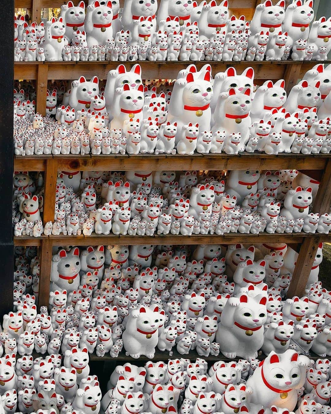 Berlin Tokyoさんのインスタグラム写真 - (Berlin TokyoInstagram)「Thousands of Maneki-neko (beckoning cat) figurines taking on the glow of the evening sun in Tokyo’s most peculiar temple. . The Maneki Neko of Gyotoku-ji is formally called the "Blessed Cat" and is dedicated as a reward for fulfilling a wish.  More than 1,000 beckoning cats are enshrined here. . . . These photos were taken with an EOS-R and RF 24-70mm f2.8 lens borrowed from @eos_canonjp . I'm still not a big fan of mirrorless cameras, but the lens is very sharp and bokeh is beautiful. . . #hellofrom Gyotoku-ji #tokyo , #japan」5月23日 21時19分 - tokio_kid