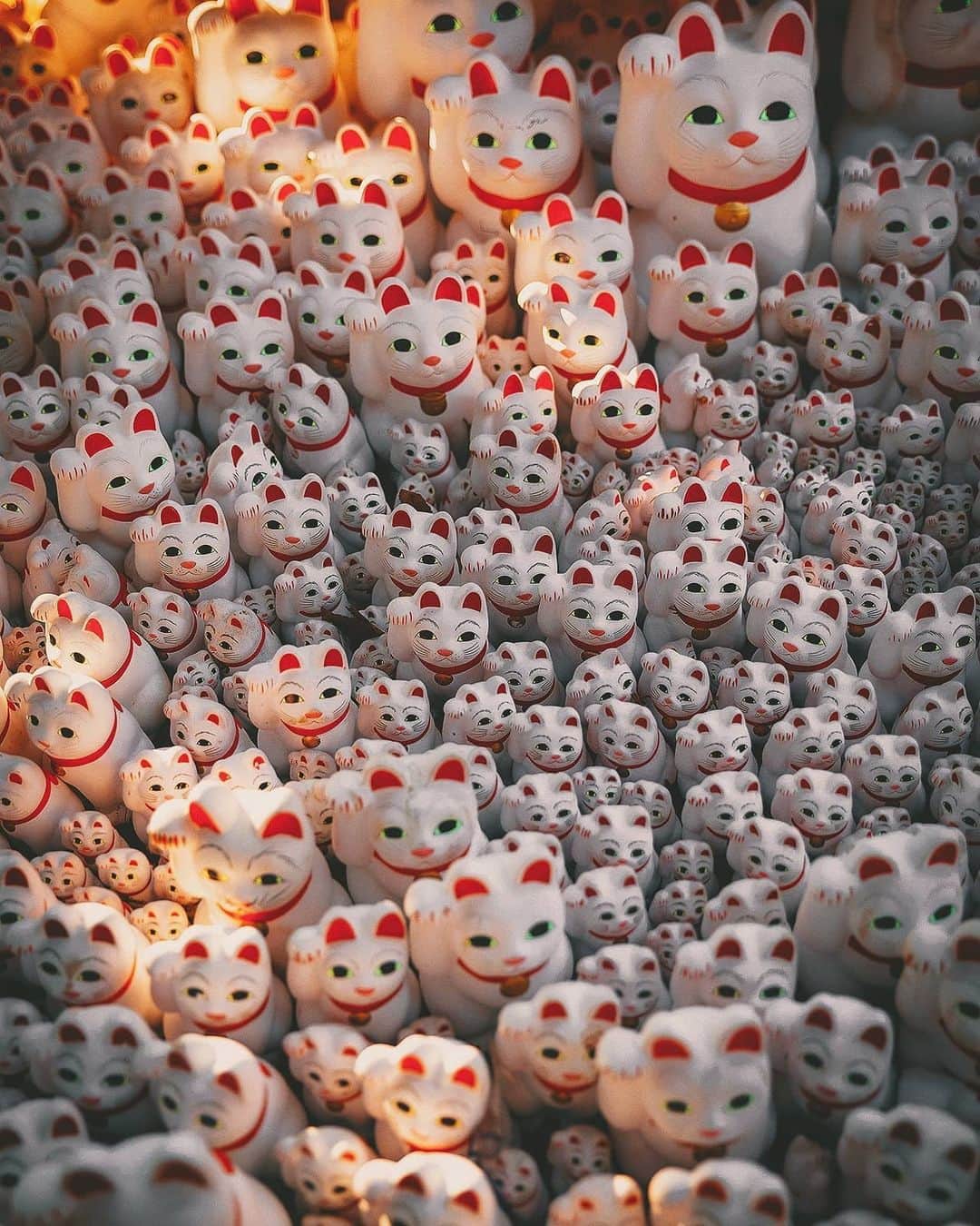 のインスタグラム：「Thousands of Maneki-neko (beckoning cat) figurines taking on the glow of the evening sun in Tokyo’s most peculiar temple. . The Maneki Neko of Gyotoku-ji is formally called the "Blessed Cat" and is dedicated as a reward for fulfilling a wish.  More than 1,000 beckoning cats are enshrined here. . . . These photos were taken with an EOS-R and RF 24-70mm f2.8 lens borrowed from @eos_canonjp . I'm still not a big fan of mirrorless cameras, but the lens is very sharp and bokeh is beautiful. . . #hellofrom Gyotoku-ji #tokyo , #japan」
