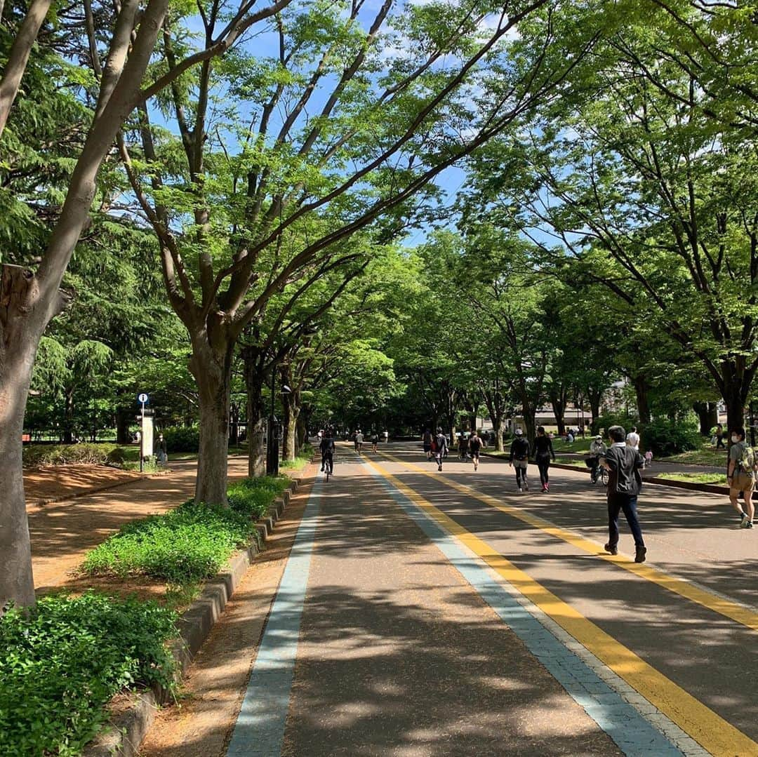 凰稀かなめさんのインスタグラム写真 - (凰稀かなめInstagram)「今日は自転車で散歩^_^ とてもいい気持ちでしたよ〜〜 来週はこれ！ 生DORA第一弾「会見の結果、ボクは」に出演致します  #日向野祥 君は #ビギニング 以来。実力派俳優 #斉藤暁 さんとは初となります。 作・演出 #後藤庸介 さん  キャストによるトークショーもあります。コメント沢山待ってるね！  日時　２０２０年　５月２７日（水）　開場１８：３０　開演１９：００  https://open-mic.zaiko.io/_item/  その前に〜〜明日朝は！ #マットとかなめの価値組Sunday #マッタリPhoenix #朗読 phoenixtears #フェニックスティアーズ #香りと役作り #お芝居好き #20周年 #青の生徒会 #モンテクリスト伯 #明治座 #カトリーヌ #メルセデス #凰稀かなめ #孤独だっていいじゃない #アデランス  #ビューステージ #ノーサイドゲーム  #田むら #アストロズ #池井戸潤 #TBS」5月23日 21時33分 - kanameouki_official