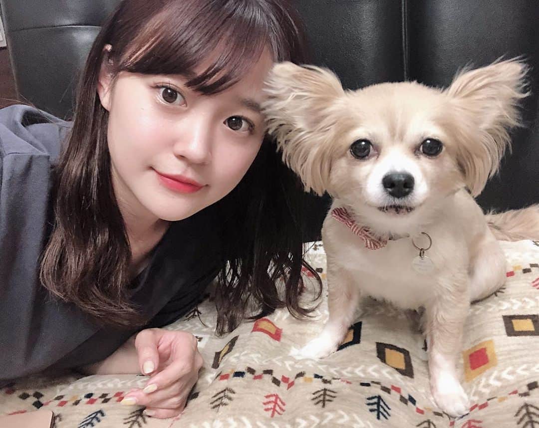 のインスタグラム：「久しぶりにカメラ目線いただきました🐶」