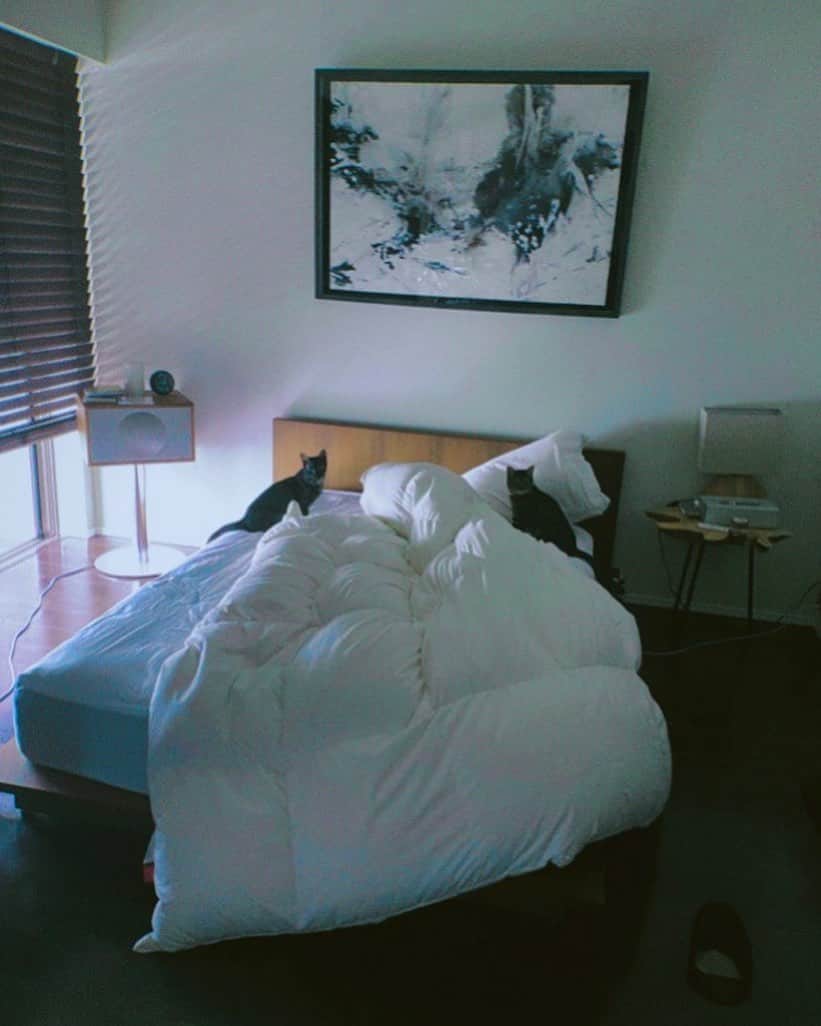 川上洋平さんのインスタグラム写真 - (川上洋平Instagram)「Bedroom Joule.  June?Maybe? Who knows lol.  #bedroomjoule #nowmaking  #comingsoon  #🤫」5月23日 12時53分 - yoohei_alexandros