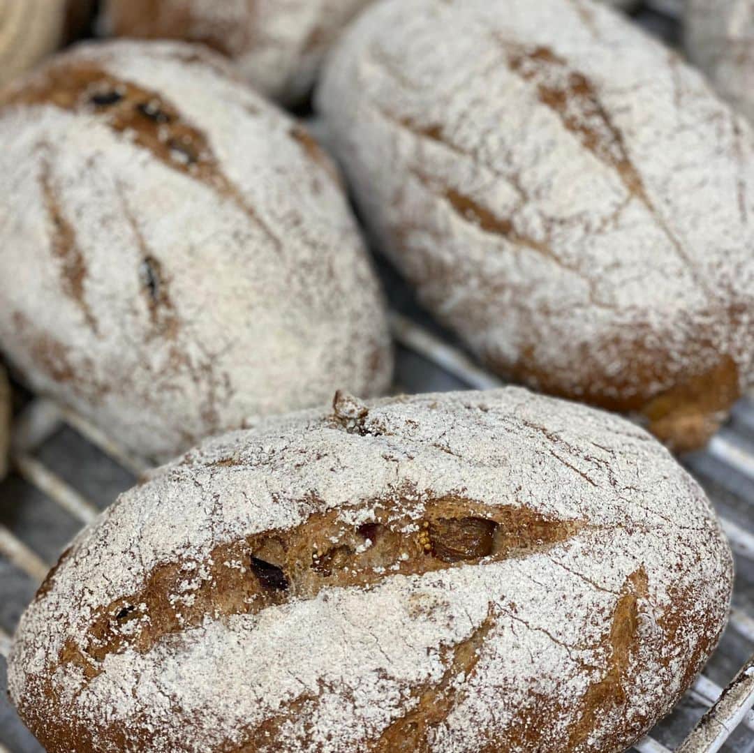 魔女菅原のグルメインスタ