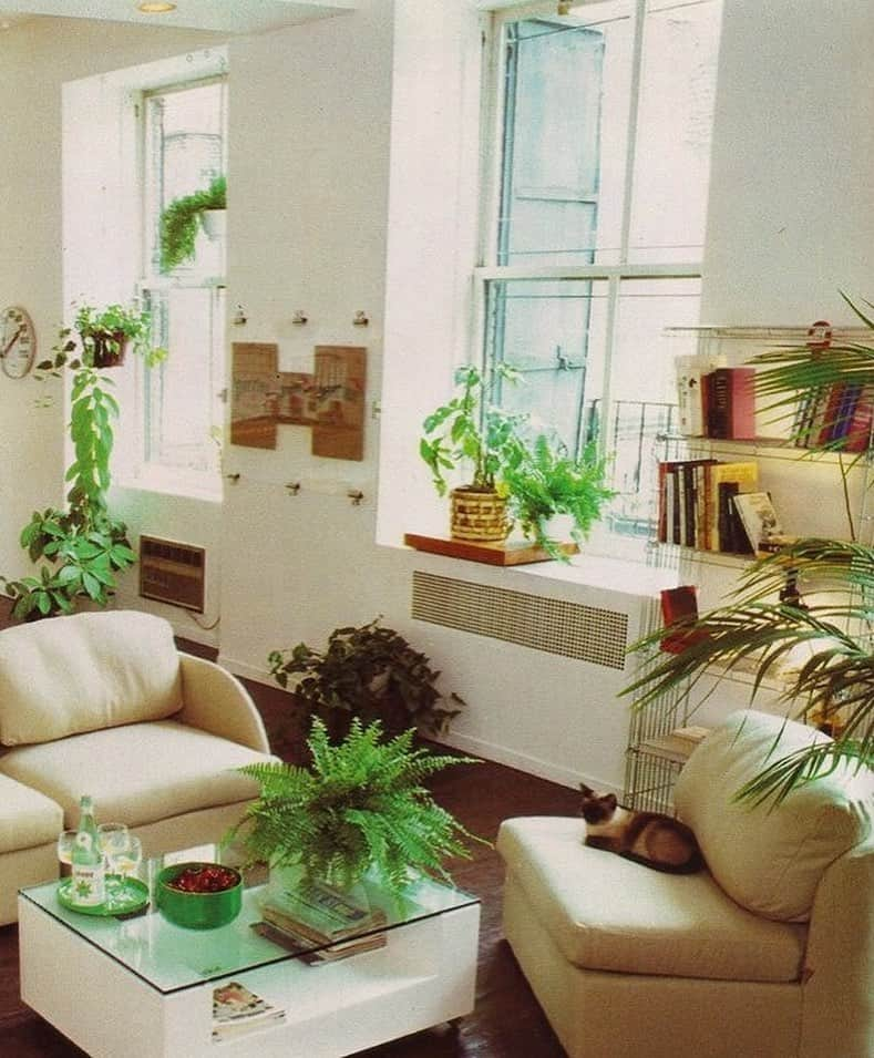 Meganさんのインスタグラム写真 - (MeganInstagram)「Better Homes & Garden New Decorating Book, 1981 〰 with a little cat #interiordesign #betterhomesandgardens #indoorplants #fern」5月23日 15時08分 - zanzan_domus