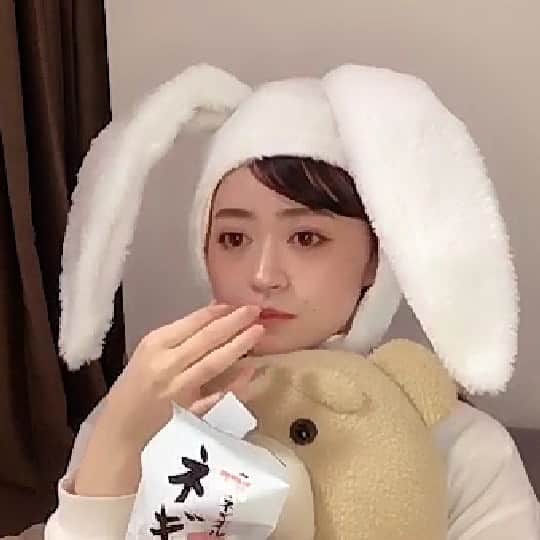 中沢結のインスタグラム：「ネギバカ食うウサギとテッド」