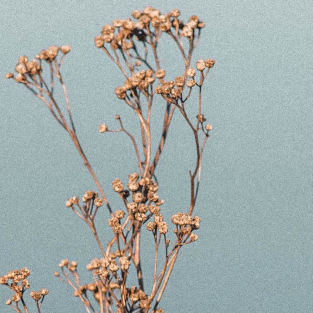 のインスタグラム：「Moments to cherish. . . . #breesince1970 #madetomakeadifference #breevolution #handbags #leatherbags #purequality #purefashion #sustainablefashion」