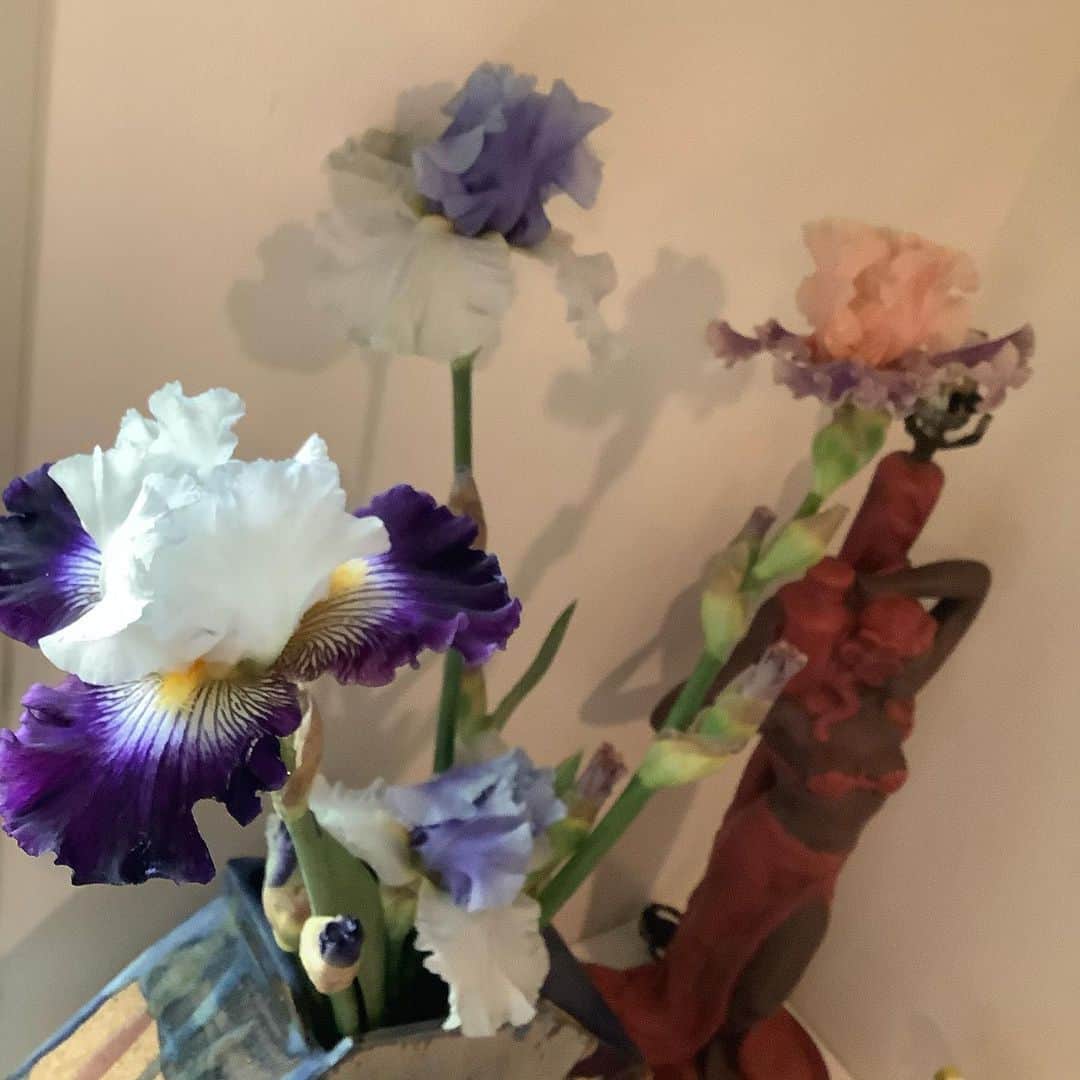 丸山敬太さんのインスタグラム写真 - (丸山敬太Instagram)「玄関に活けたジャーマンアイリスが なんだかドレスみたいな  きれいな咲き姿 自然の創るものって本当にすごい  見習いたいと思うのです。」5月23日 15時32分 - keitamaruyama