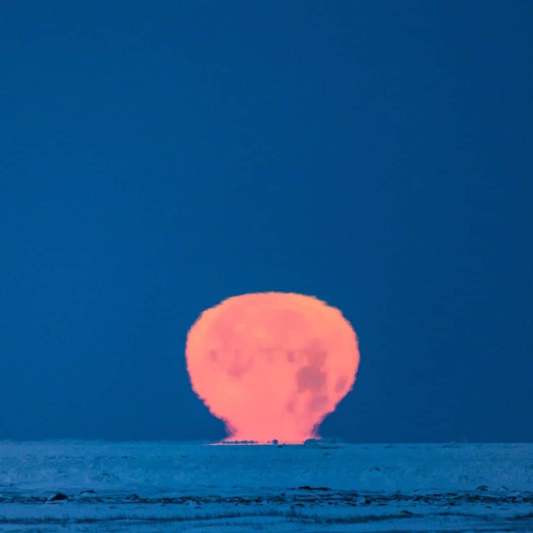 ナショナルジオグラフィックさんのインスタグラム写真 - (ナショナルジオグラフィックInstagram)「Photo by @stephenwilkes | I took this while on assignment in Churchill, Manitoba, where I was photographing polar bears. I witnessed an extraordinary full moonrise and moonset. I’ve never seen this type of distortion in a moonset—the shape took on the outline of a hot-air balloon or a mushroom cloud. This is called an omega moon, after the Greek letter. To see more photos from my travels near and far, follow me @stephenwilkes. #daytonight #churchill #moonrise #canada」5月23日 15時39分 - natgeo