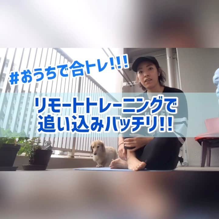 のインスタグラム：「🎥💭 ．  リモート合同トレーニング💪 フルバージョンはPhygicのYouTubeに載せますね！ どーでもいいお喋りもしてます🗣💭 ． ウォーターバックとバンドを使用していますが、無くても出来ます！追い込みトレーニング💪🔥 ． 👱‍♀️「なんでこんなにキツいのに、やり切ろうとするんだろうね。。」 👩「もう、そういう精神論が染み付いてんだよ」 なんて会話もしていましたが、編集ではカットしてます✂️笑 ． キツい事とか、シンドい事って、その時はとんでもなく心折れそうになるけど、 終わってから振り返ってみると、結構メンタルが強くなって、成長できた感覚ありませんか？🤲🥺 ． 精神論な感じもしますが、 "嫌だな〜"っていう考え方から、"これやり切れば成長できる"という考え方にシフトすることは大事だなーって。 これはトレーニングだけじゃなくて仕事にしても通ずる事だと思うし👍 ． そしてキツいトレーニングを1人ではなかなかできないのと同じように、仕事も全てを1人ではできない事もあるから、"切磋琢磨"していきたいですよね。(自分へ向けて言ってます←) ． いろんな事に気付いた自粛生活で疲れました。笑 早く元の生活に戻れますように🙏🍀 ． ． #減量#食事管理#ジム#トレーニング#ダイエット#ボディメイク#筋トレ#ワークアウト#姿勢改善#ヒップアップ#シェイプアップ#腹筋女子#O脚改善 #二の腕#背中美人#美尻 #家トレ#gym#training#workout#personaltraining#diet#bodymake  #筋トレ垢さんと繋がりたい #ダイエット垢さんと繋がりたい #筋トレ女子 #ダイエット女子‬ #筋トレ好きと繋がりたい #ダイエット仲間募集中」