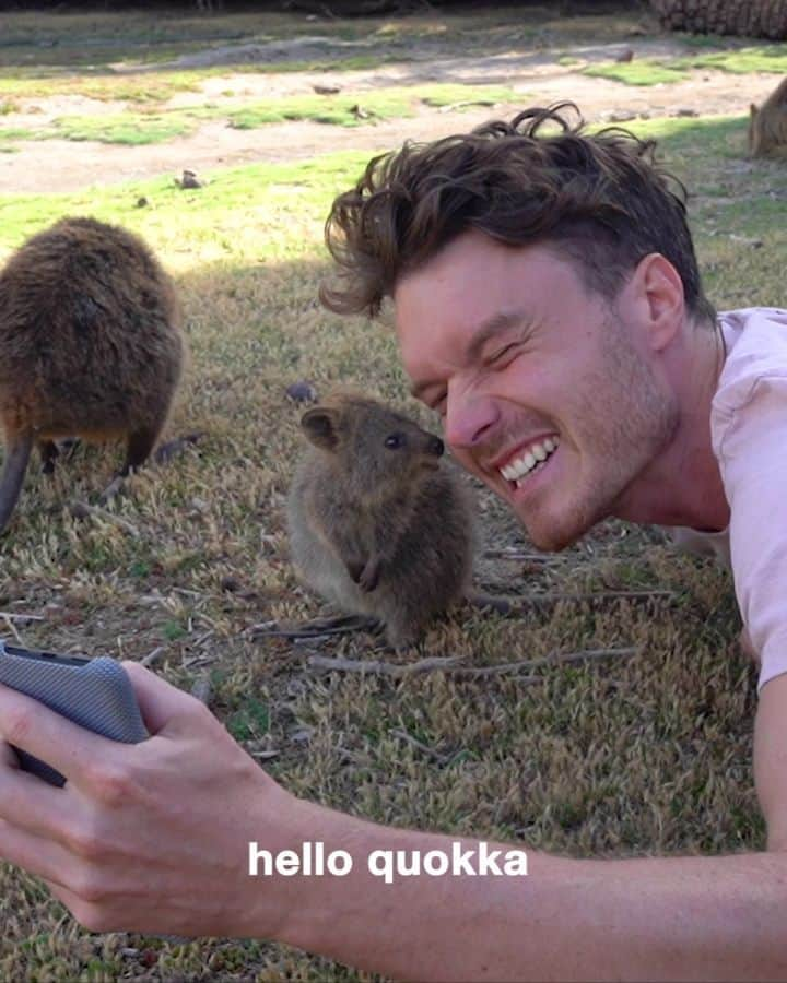 アラン・ディクソンのインスタグラム：「This gets controversial in 10 seconds. Tell me if it's true or false? 🤔 New quokka YT video releasing tomorrow!! Subscribe to my YouTube!! (bio link) 🙌☺️🐻 @quokkahub #quokkahub」