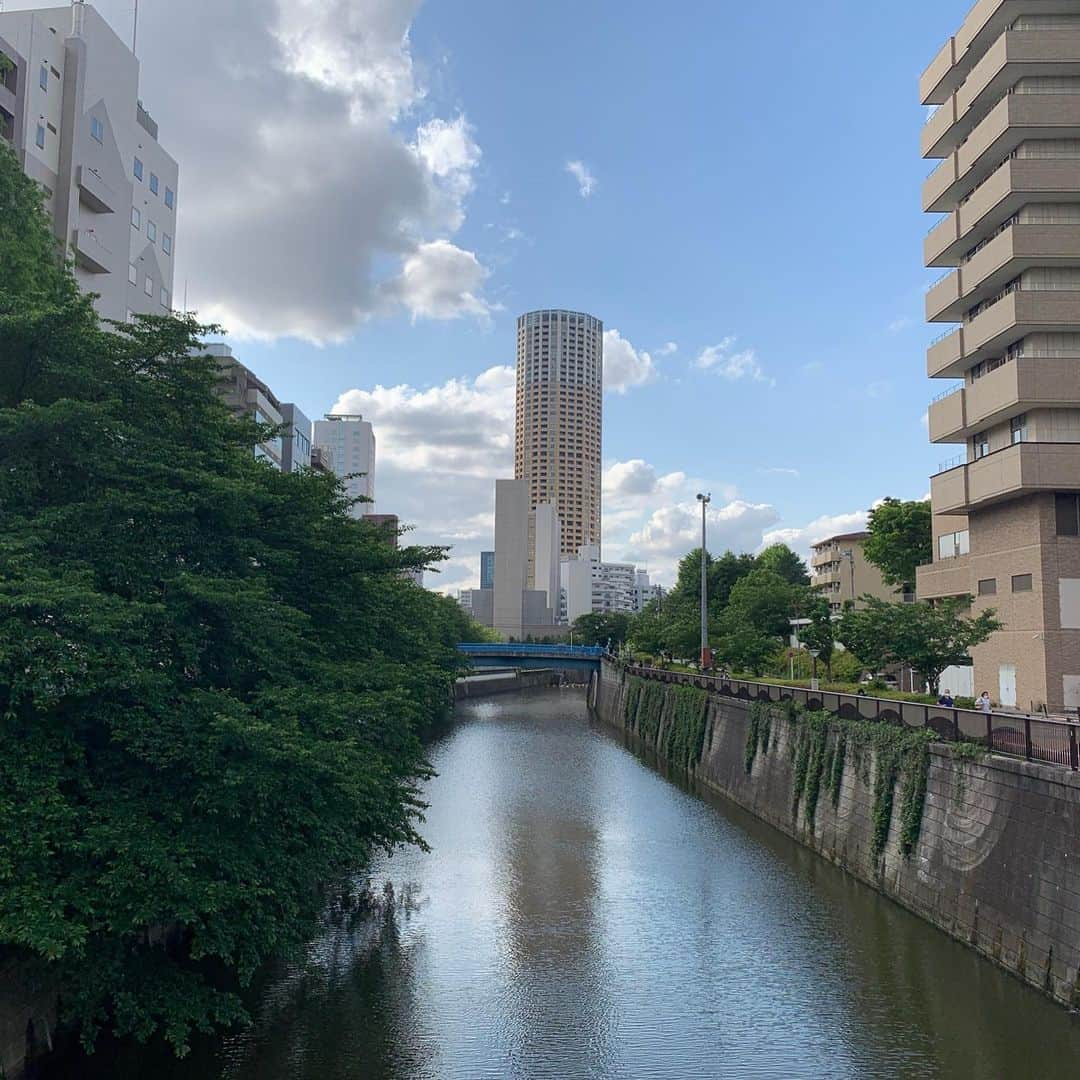 柴本愛沙さんのインスタグラム写真 - (柴本愛沙Instagram)「午後から久しぶりの青空が見られて 気分がスーッと明るくなった土曜日。  渋クリ @shibucli @sb_shibucli で、 ヴィーナスIPLやってきました。  IPLの光には、メラニン色素や ヘモグロビンにダメージを与える効果、 コラーゲンの生成を促進する効果などがあり、 複数の美容効果が期待できるんです！  シミやたるみ、毛穴などいくつもの悩みが 一度光を当てただけで解決できちゃう♡ また、細胞が活性化されるので、 ハリ・ツヤのあるきめの整った肌になります。  そして、びっくりしたことに、 帰りにマスク5枚とフットケアのアイテムを プレゼントしてもらった！！ これは知らなかったからビックリ！ 貴重なマスク、ありがとうございます😊  クリニックにはスムージーもあったので、 飲みながら帰りました♡  #渋谷 #渋谷美容外科クリニック #渋クリ #フォトフェイシャル #医療脱毛 #ヴィーナスIPL  #ヴィーナスフォトフェイシャル #光治療 #IPL #特殊な光 #美肌 #美肌効果 #美肌施術 #美容デー #美容day #美容 #beauty #メンテナンス #シミそばかす対策 #スムージー #いつかの写真 #時差スタグラム #久しぶりの青空 #嬉しいな #happy」5月23日 19時16分 - aisa_shibamoto