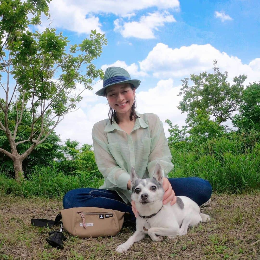 芳美リンさんのインスタグラム写真 - (芳美リンInstagram)「﻿ お散歩コーデ🐶﻿ ﻿ 斜めがけしても💮ウエストポーチとしても💮﻿ な、@aplysia.camp　のバック！ ﻿ 手ぶらでになれるので、抱っこちゃんのトイのお散歩に最適！（笑）﻿ 旅行でも、使いやすそう！﻿ ﻿ お散歩用の袋ケースがめちゃくちゃ使いやすい！﻿ お散歩バックの中の、﻿ ビニール袋ちらかりがちなので。（笑）﻿ ﻿ ﻿ ﻿ 帽子は、﻿ @nakota_official ﻿ @pal_proseverse_official のシアーシャツと色味を合わせてみました。﻿ ﻿ 両方好きな色味♥﻿ ﻿ #お散歩#お散歩コーデ﻿ #ハイキング#山ガール #アウトドア女子#アウトドア #犬のいる暮らし#シアーシャツ#ootd#懸賞生活#カジュアルコーデ」5月23日 19時30分 - lynn.lynn5