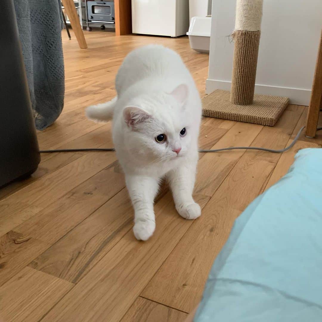 のインスタグラム：「あいつ、一体誰 #otefucat」